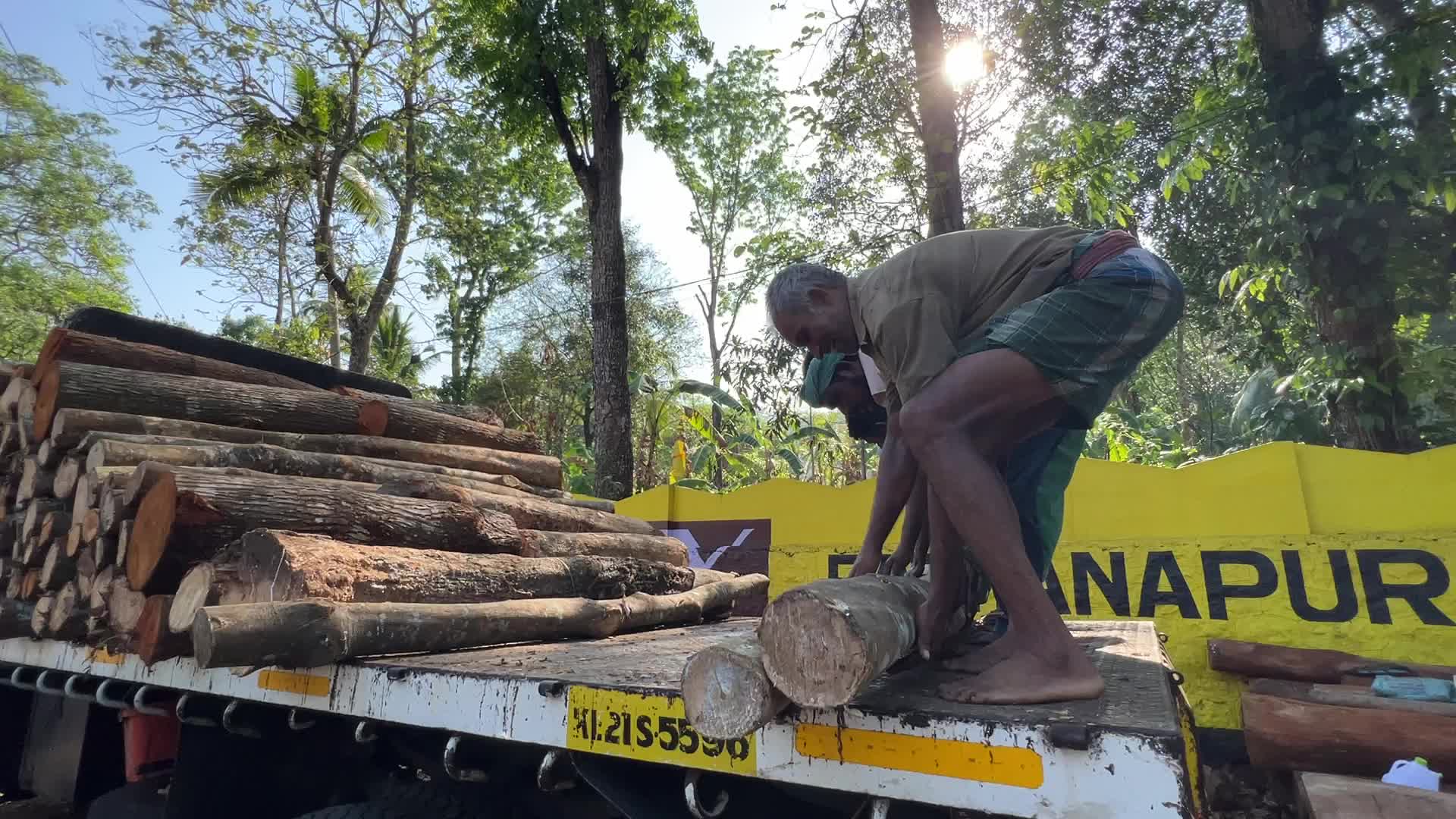 Timber industry in Kerala