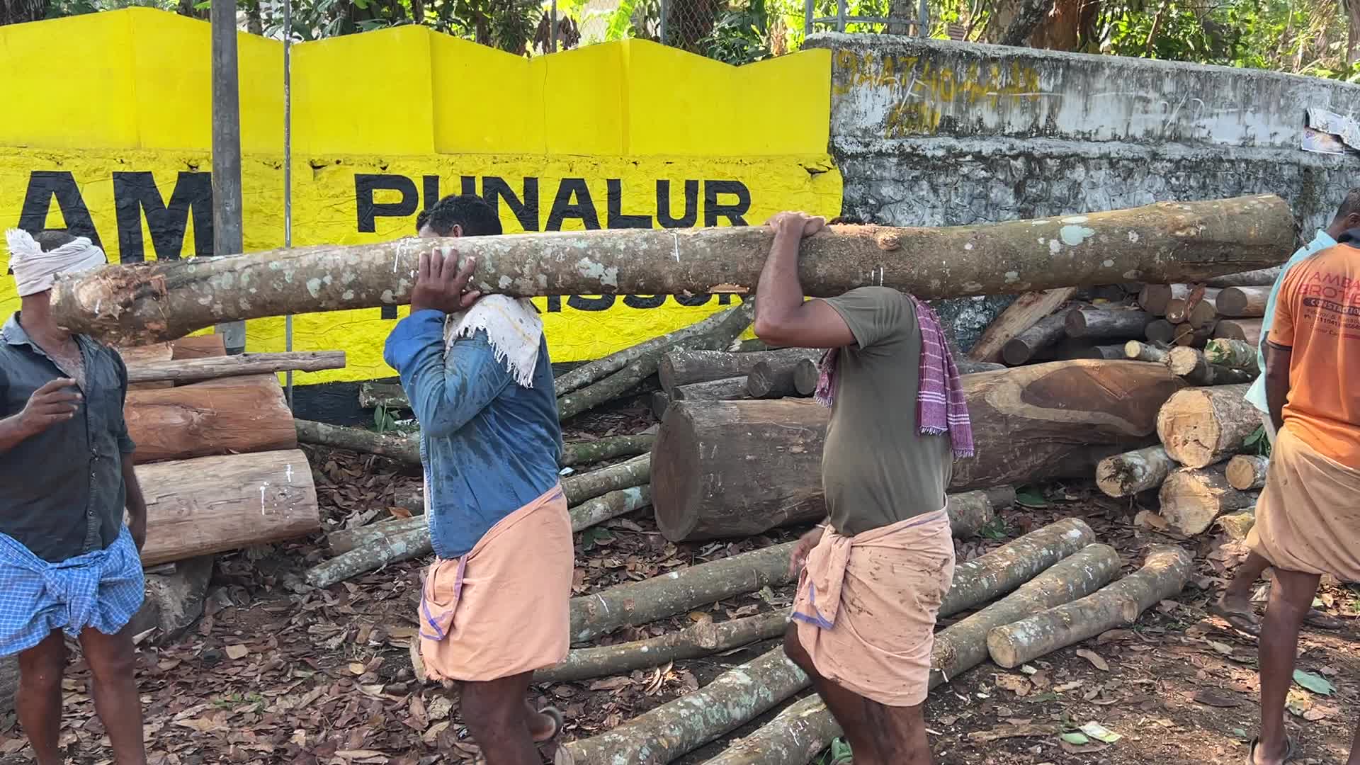 Timber industry in Kerala