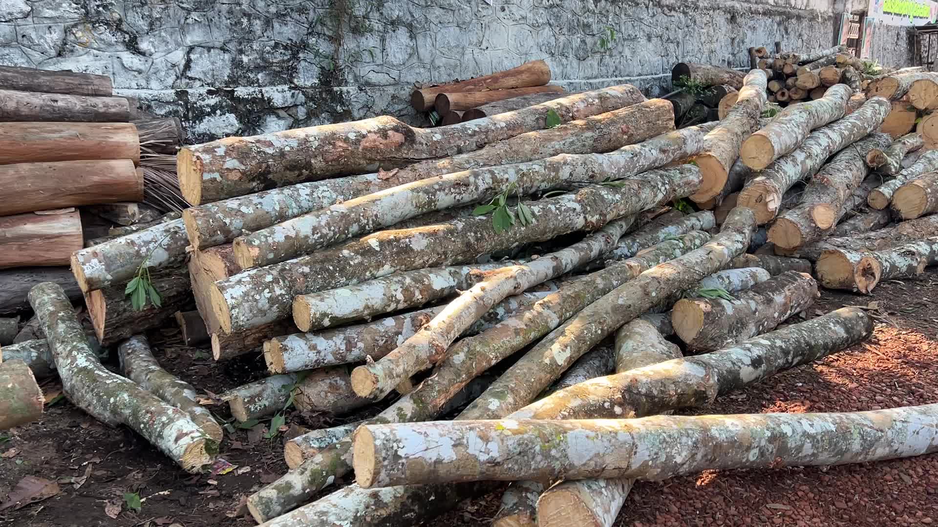 Timber industry in Kerala