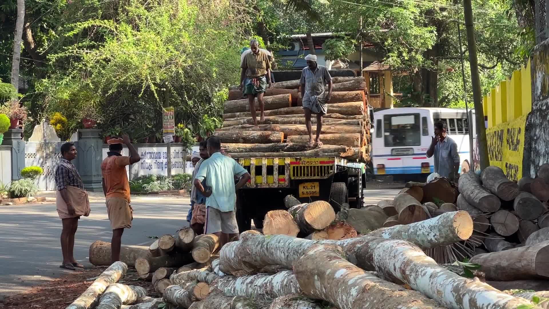Timber industry in Kerala