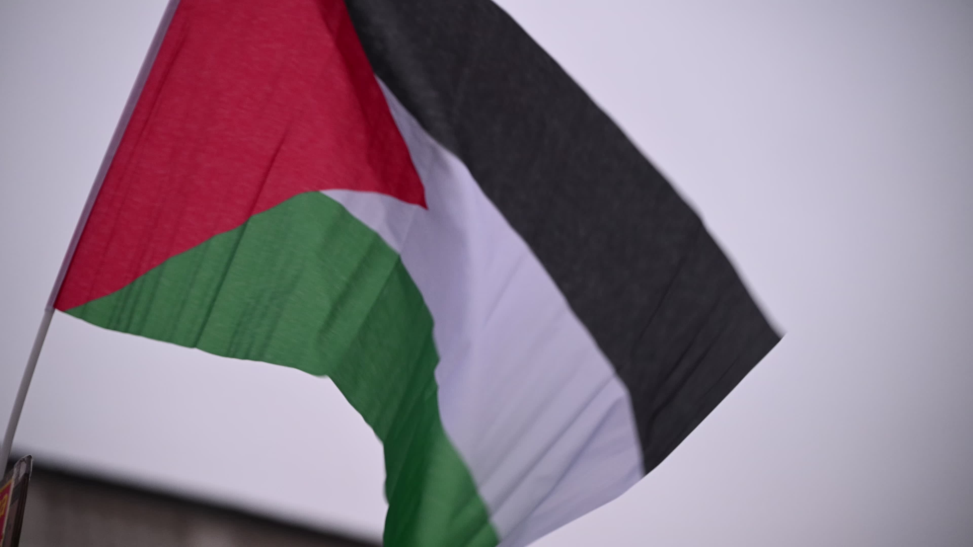 Palestine Support March to US Embassy