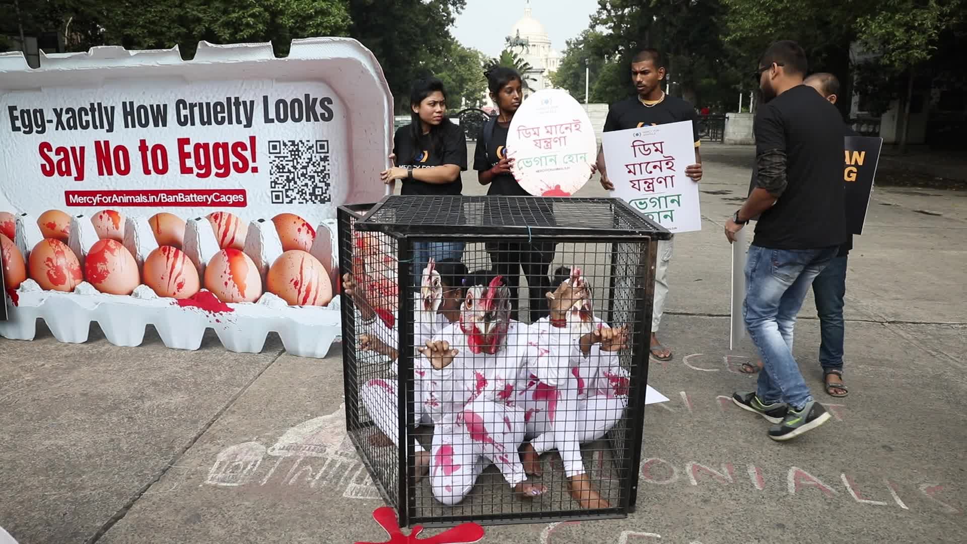 Activists Performance, In Kolkata, India 