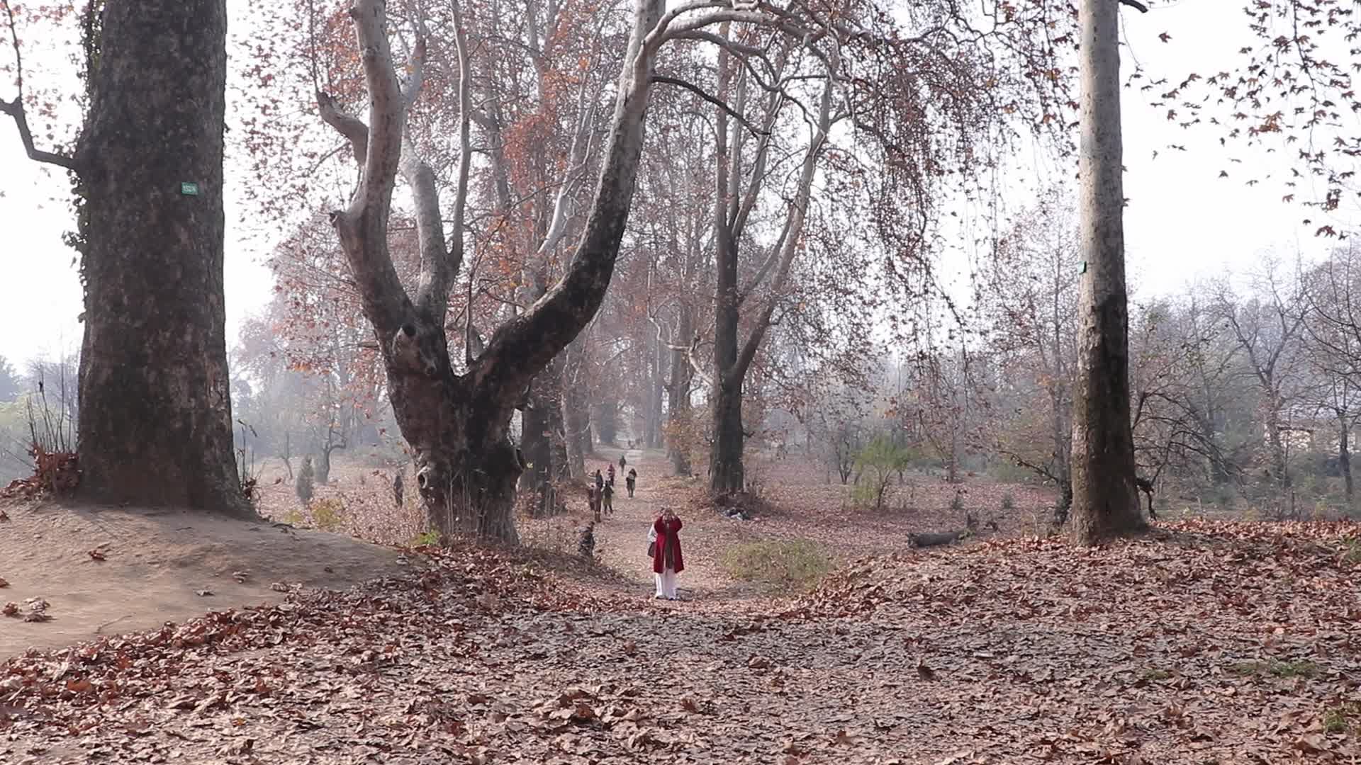 Cold Autumn Season in Kashmir