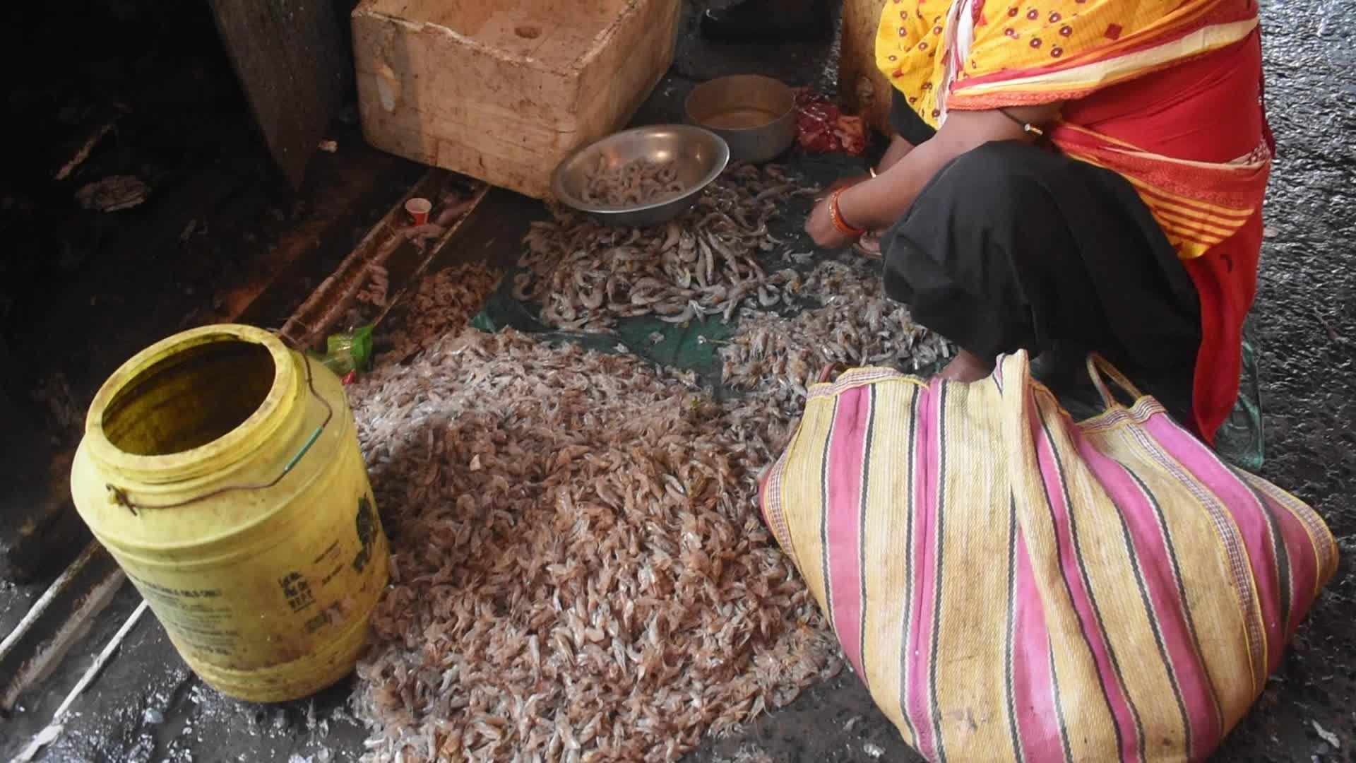 Food markets in Kolkata, India