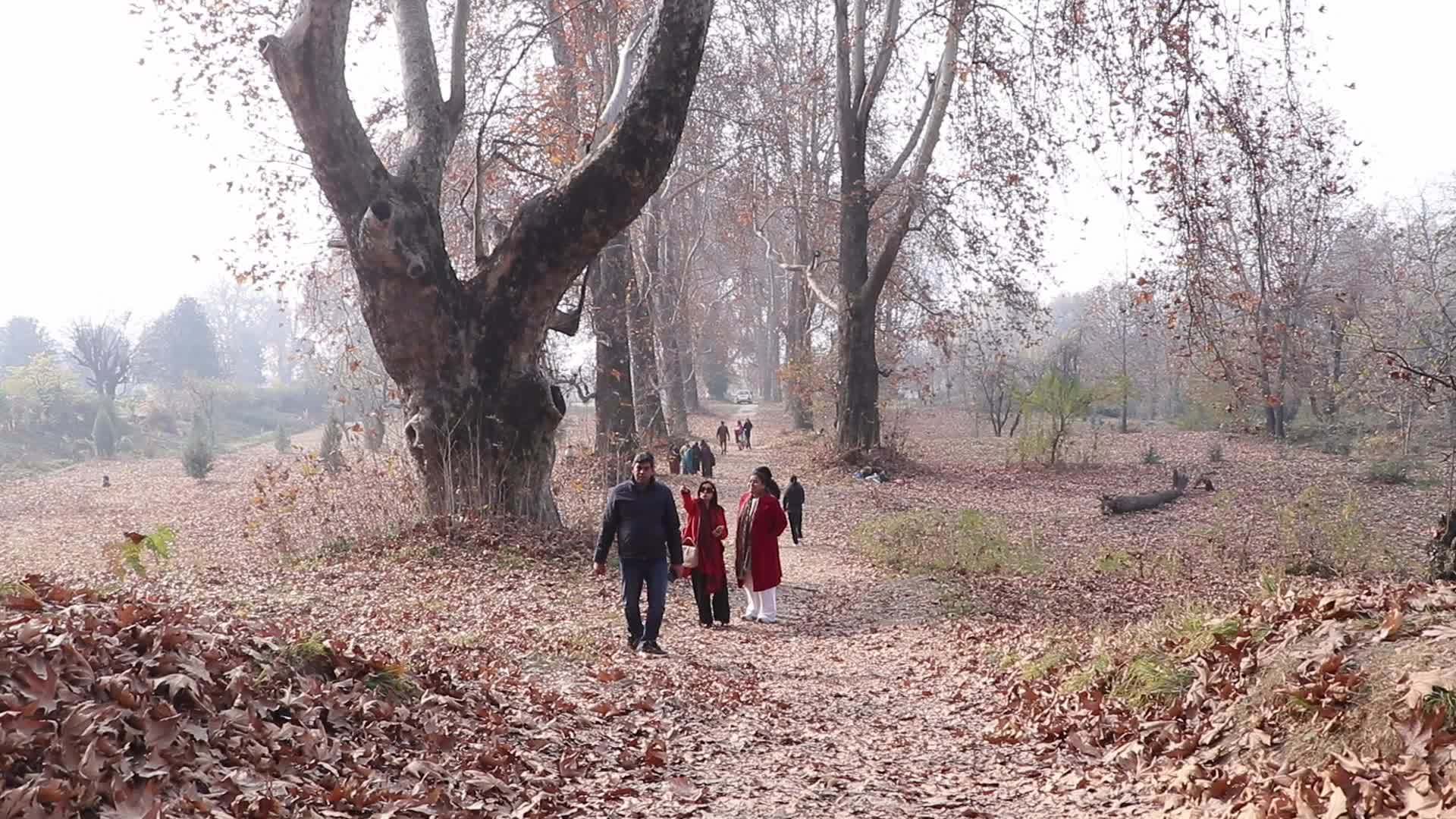 Cold Autumn Season in Kashmir