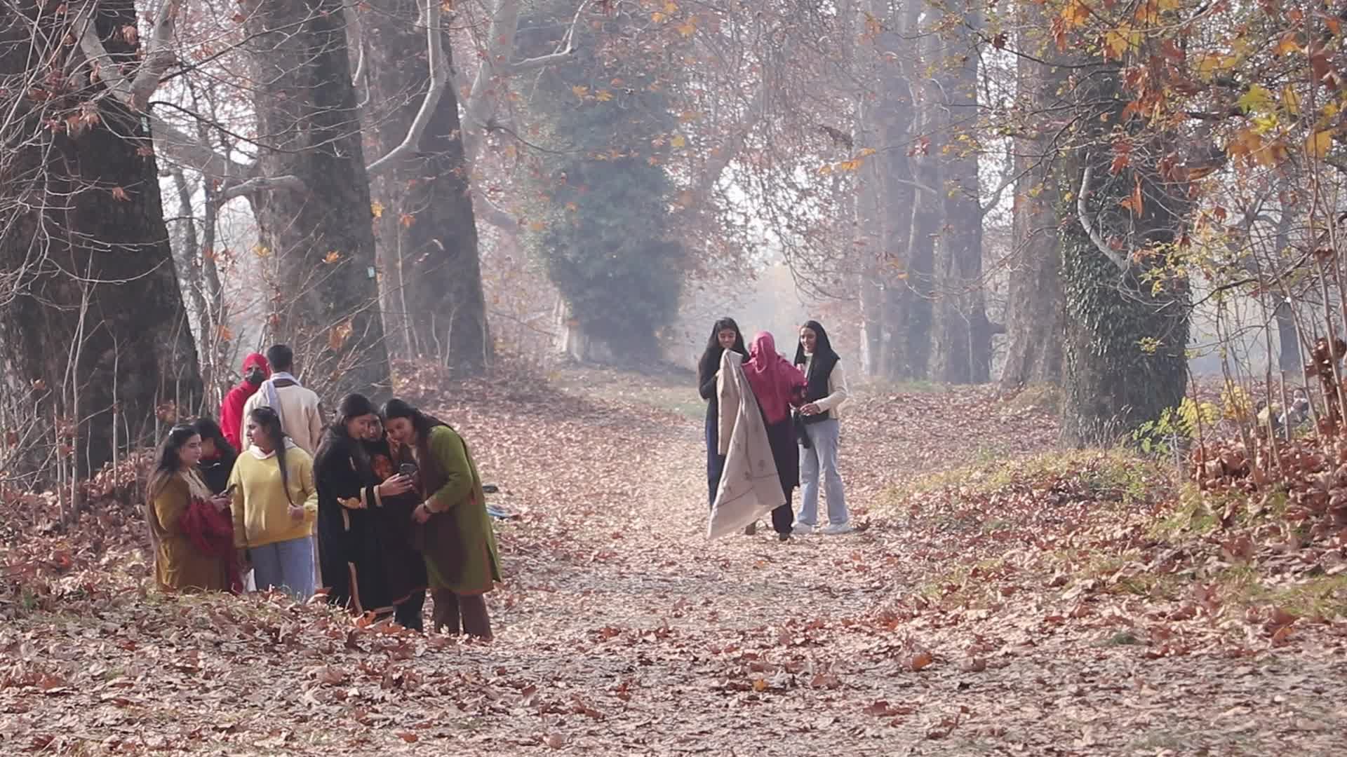 Cold Autumn Season in Kashmir