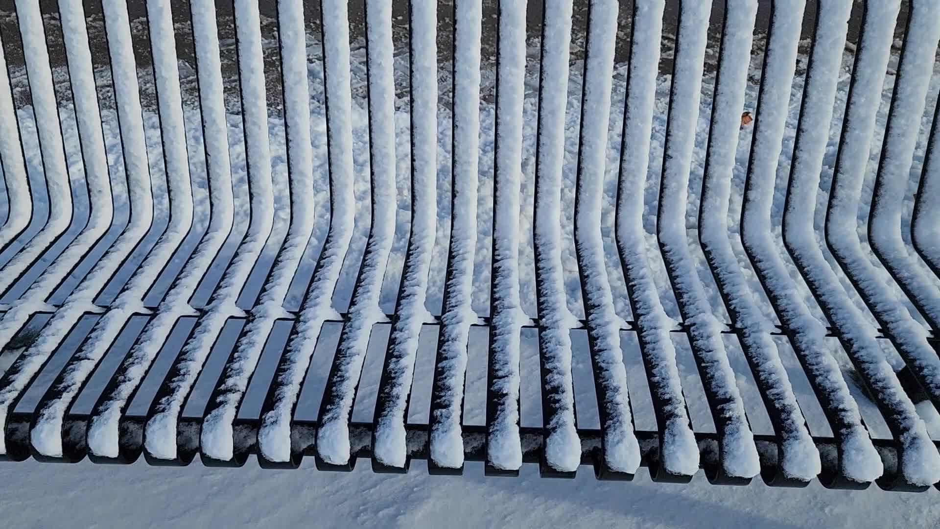 First snowfall of the season in Toronto, Canada