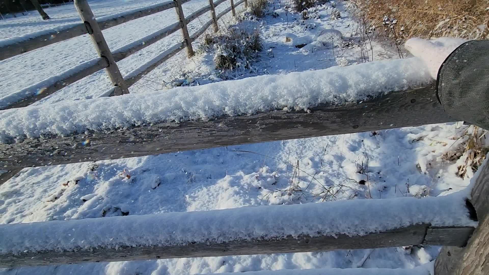 First snowfall of the season in Toronto, Canada