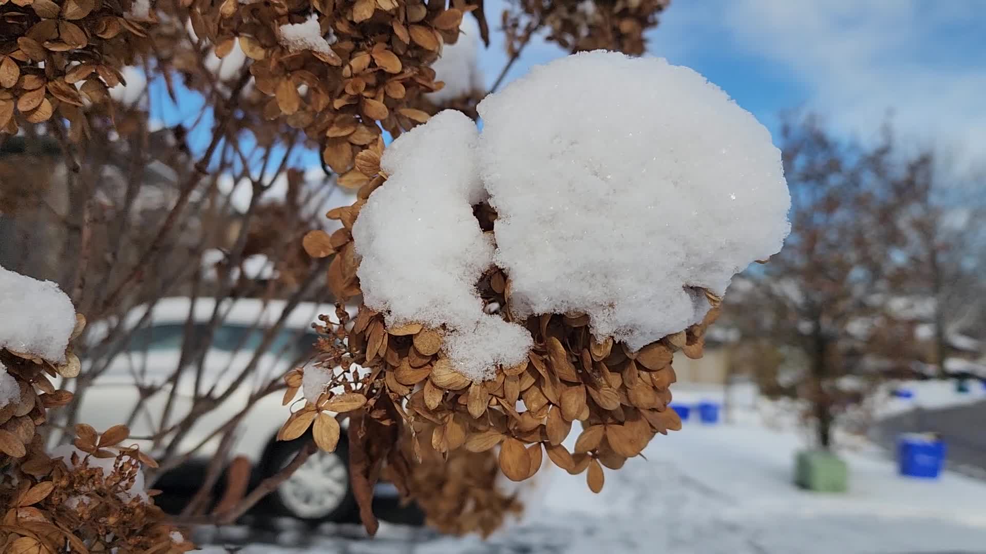 First snowfall of the season in Toronto, Canada