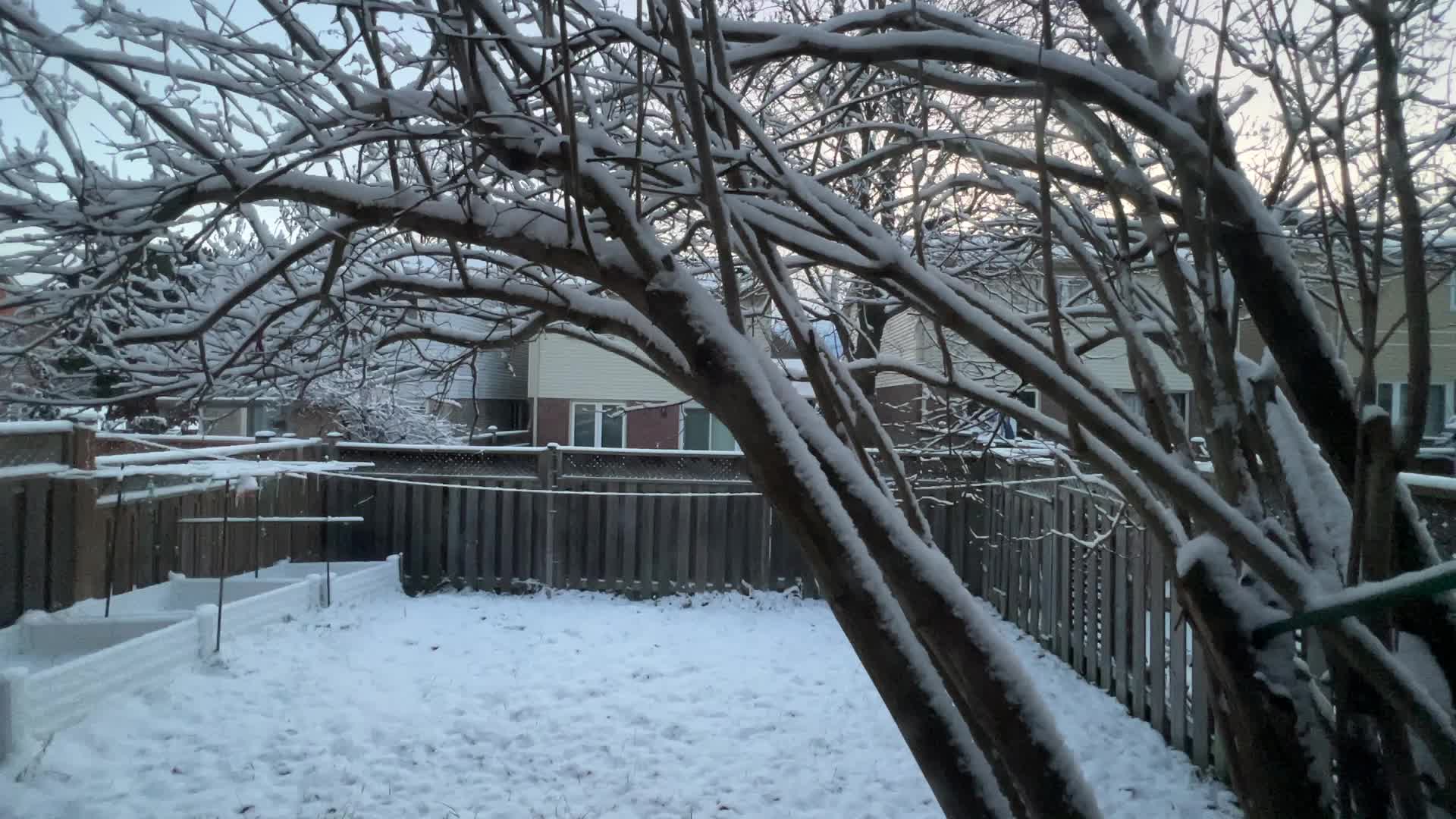 First snowfall of the season in Toronto, Canada