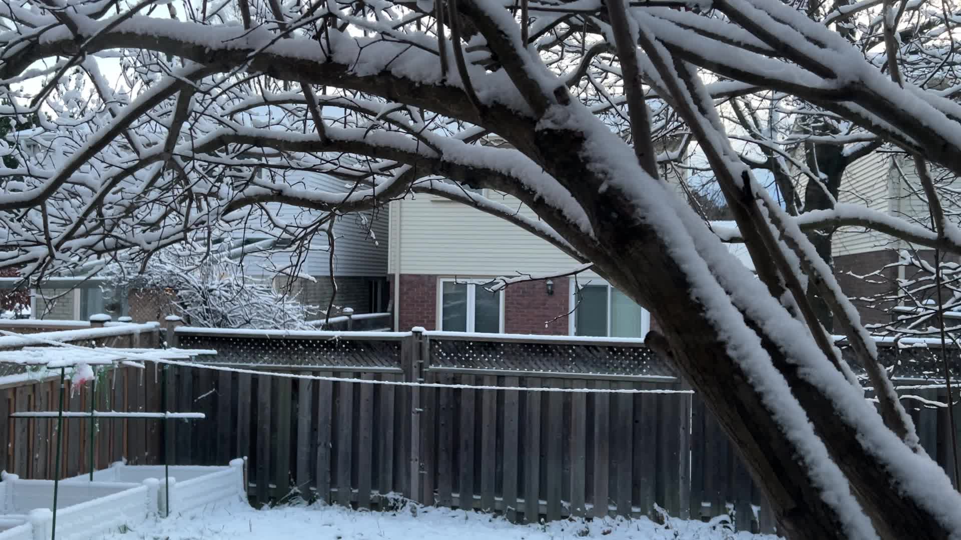 First snowfall of the season in Toronto, Canada