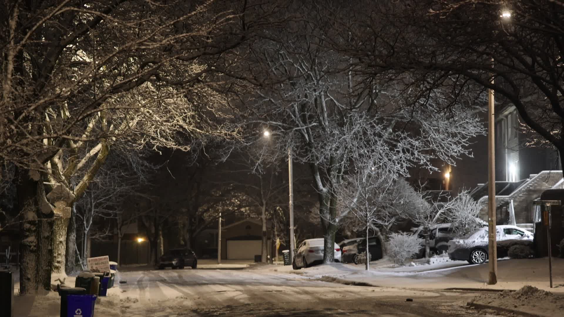First snowfall of the season in Toronto, Canada