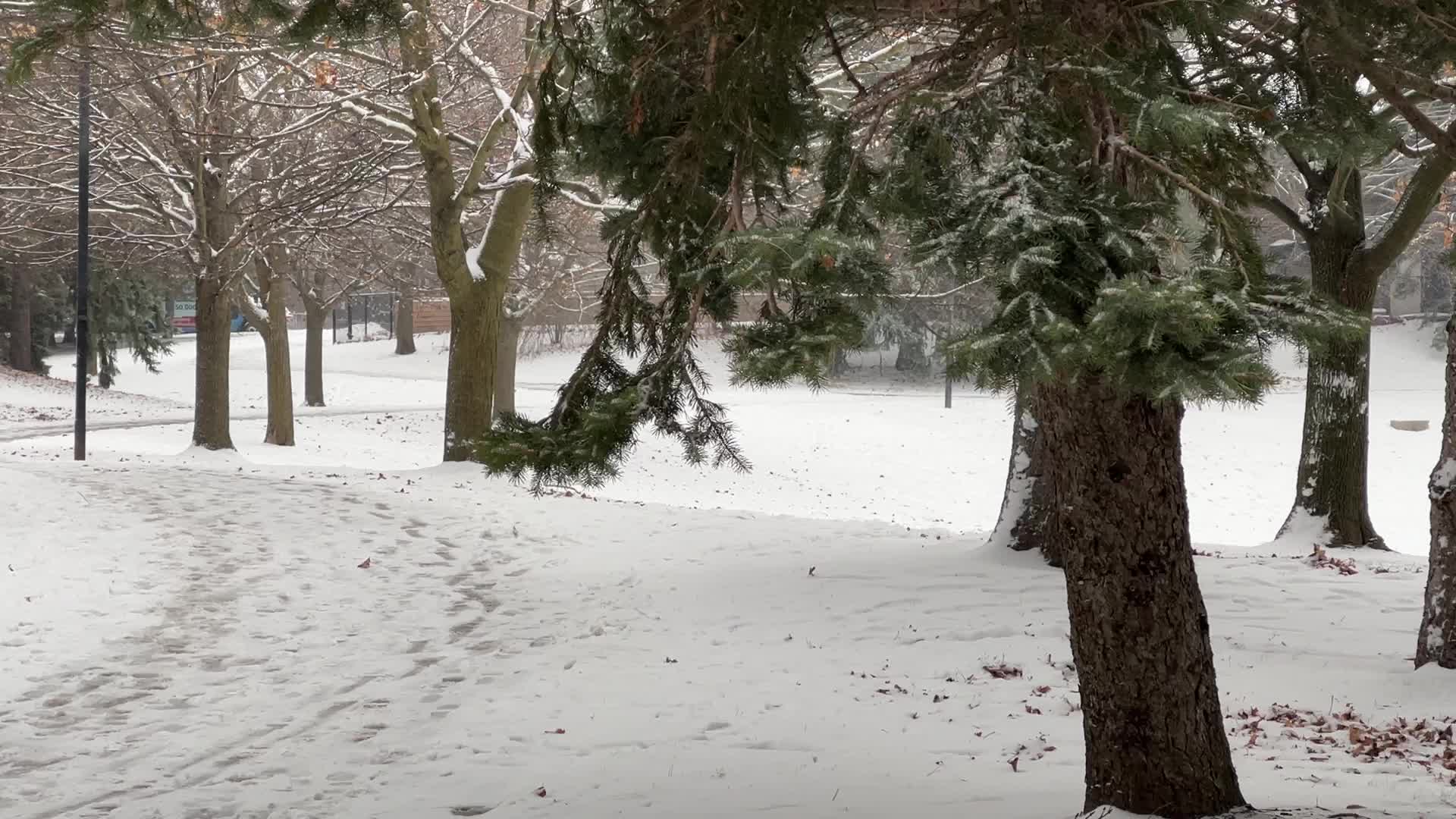 Daily life during winter in Toronto, Canada