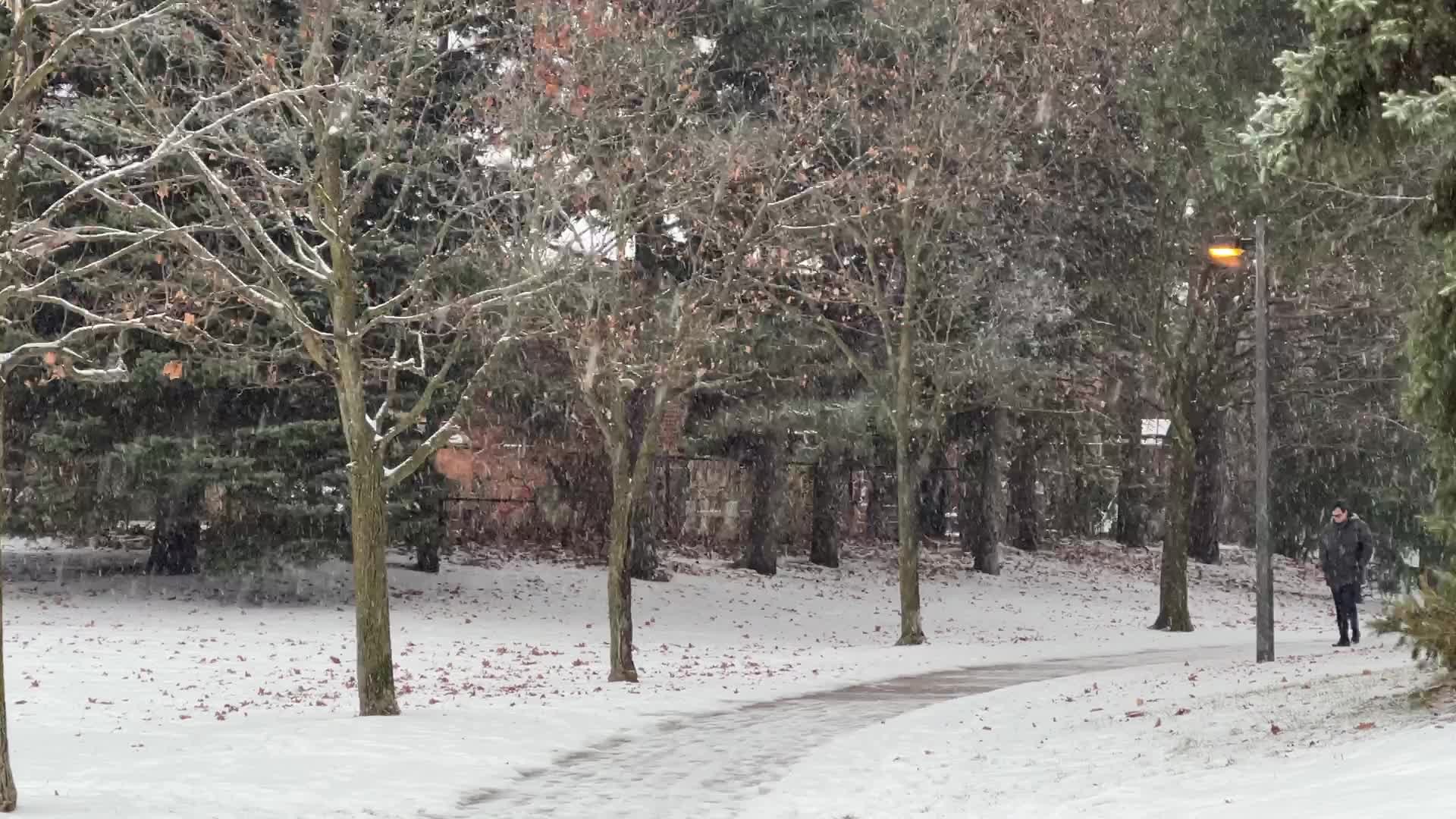 Daily life during winter in Toronto, Canada