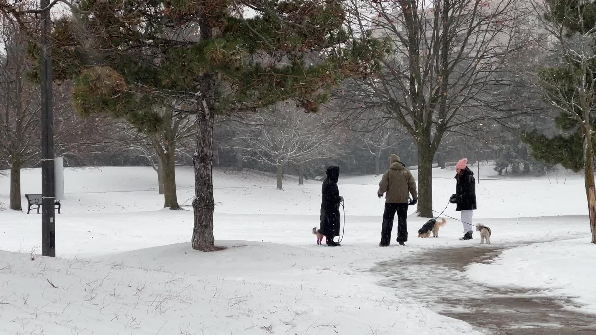 Daily life during winter in Toronto, Canada