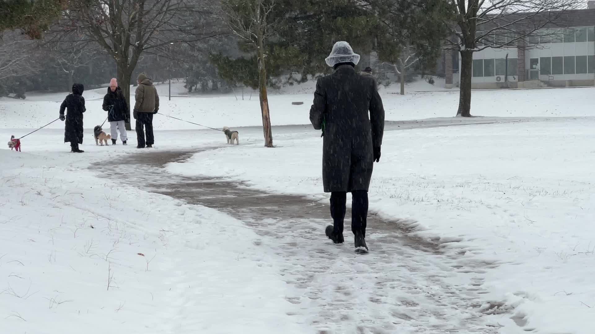 Daily life during winter in Toronto, Canada