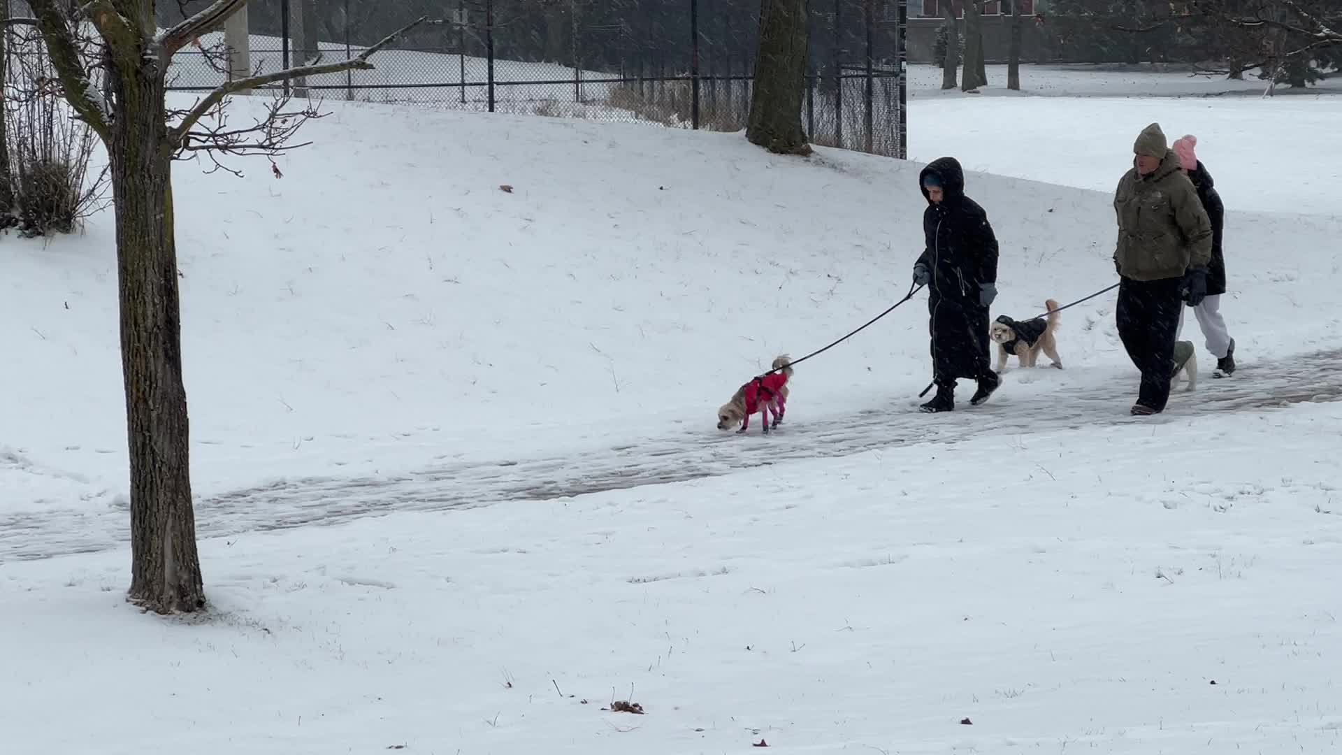 Daily life during winter in Toronto, Canada