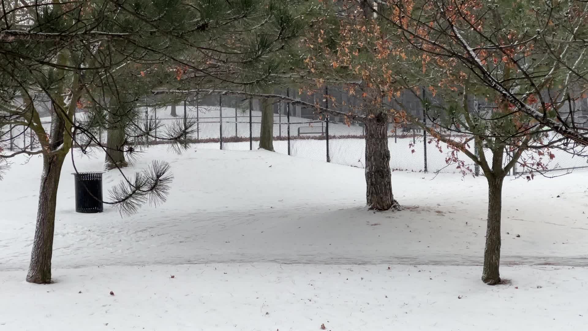 Daily life during winter in Toronto, Canada