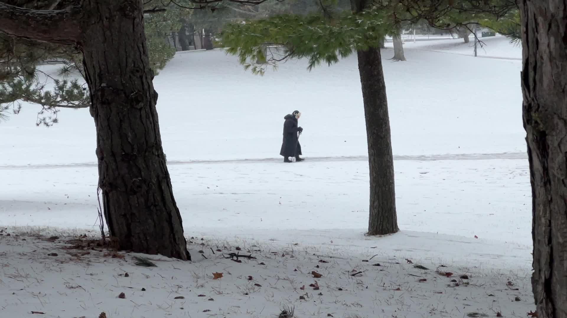 Daily life during winter in Toronto, Canada