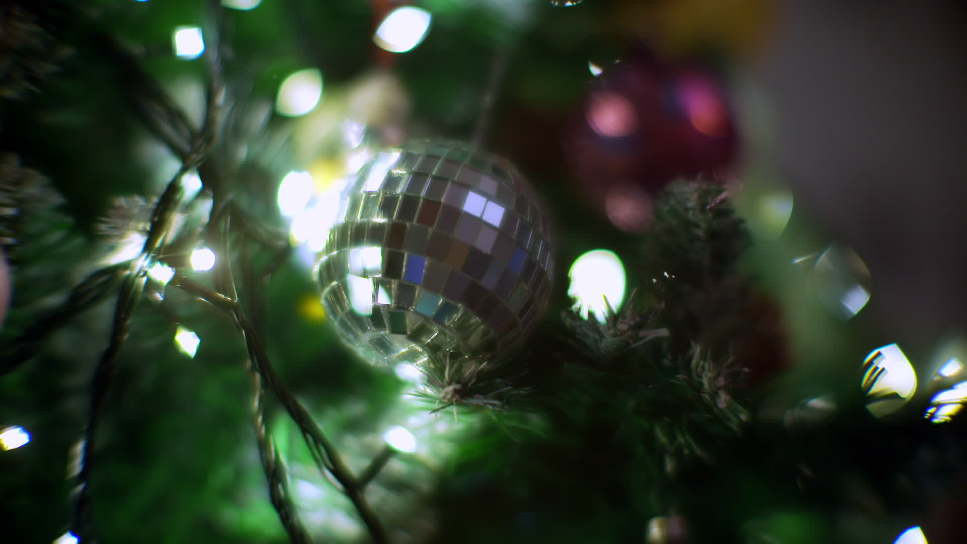 Christmas Tree Illustration 