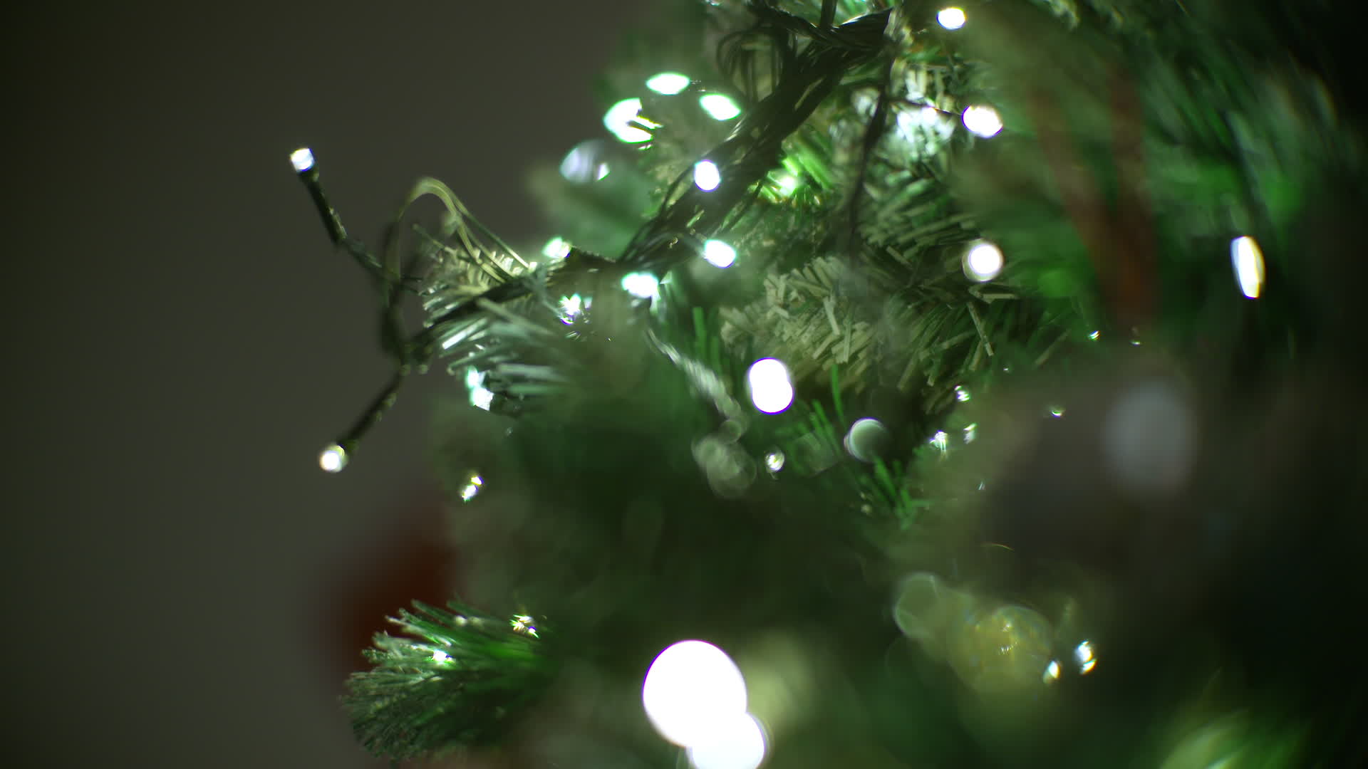 Christmas Tree Illustration 