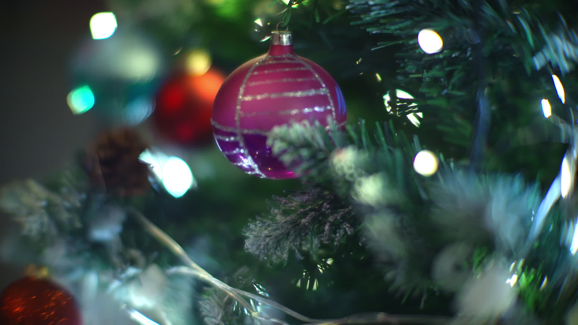 Christmas Tree Illustration 
