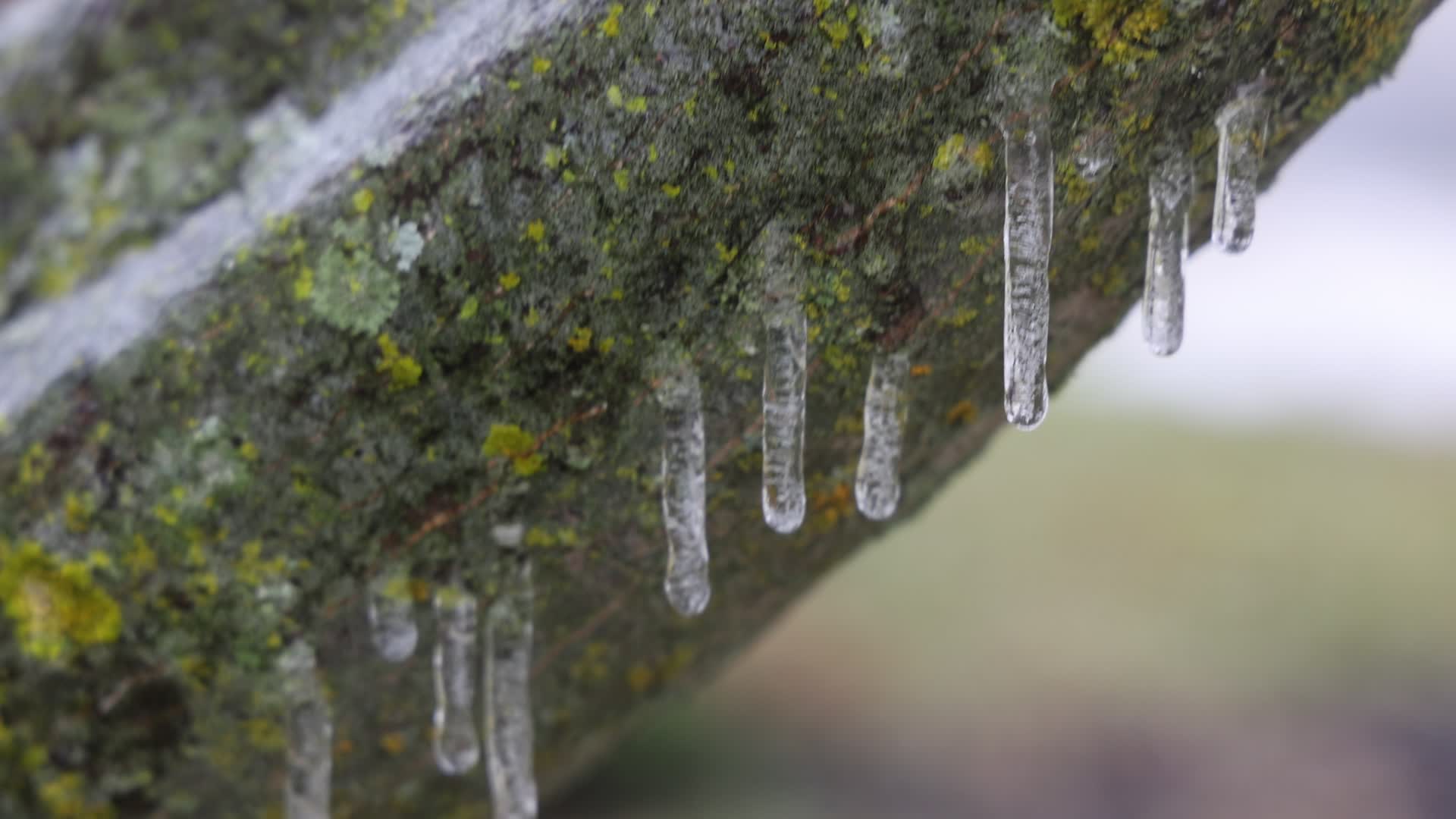 Freezing rain results in surfaces being coated with a sheet of ice in Toronto, Canada