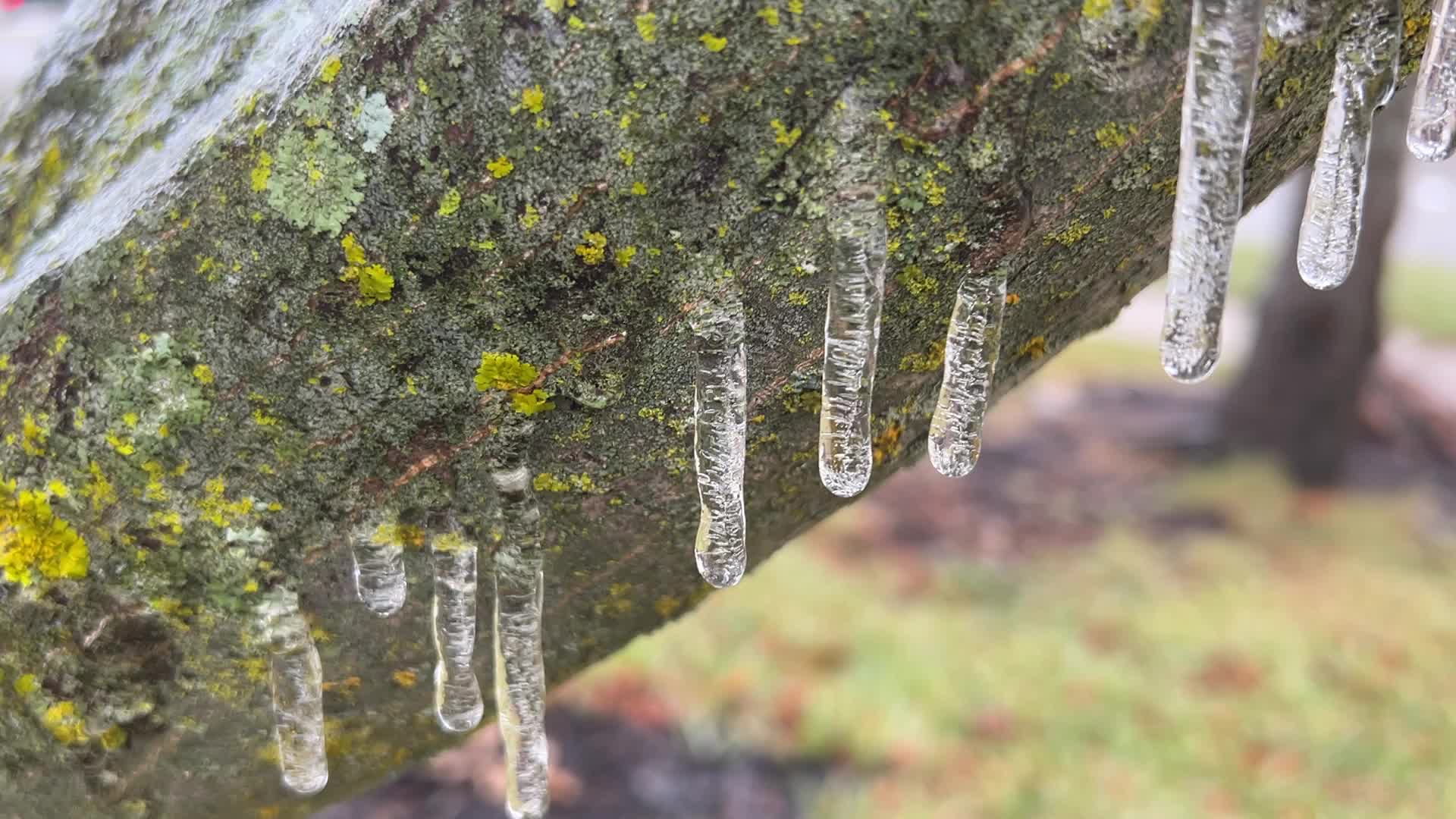 Freezing rain results in surfaces being coated with a sheet of ice in Toronto, Canada