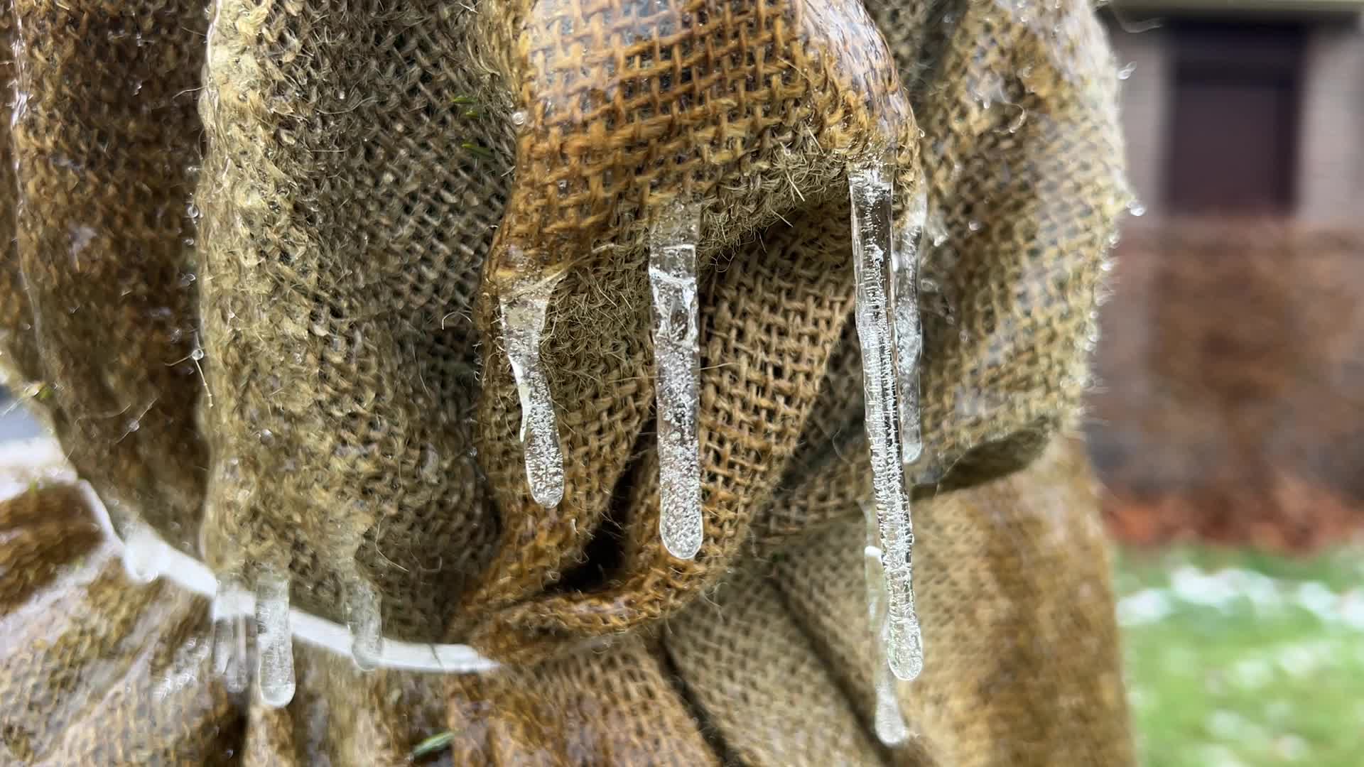 Freezing rain results in surfaces being coated with a sheet of ice in Toronto, Canada