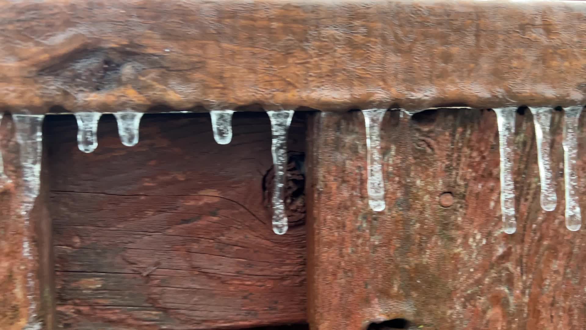 Freezing rain results in surfaces being coated with a sheet of ice in Toronto, Canada