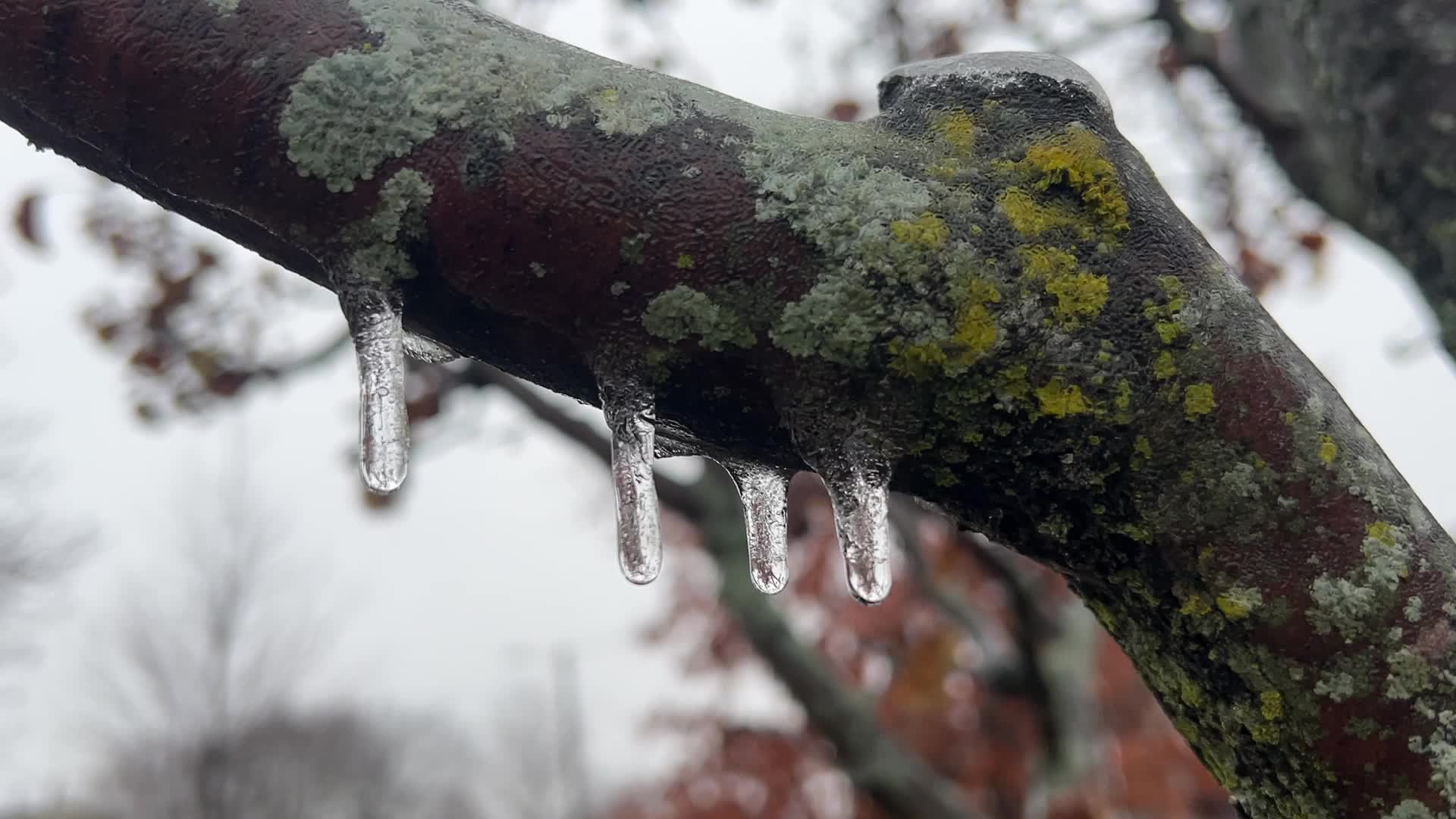 Freezing rain results in surfaces being coated with a sheet of ice in Toronto, Canada