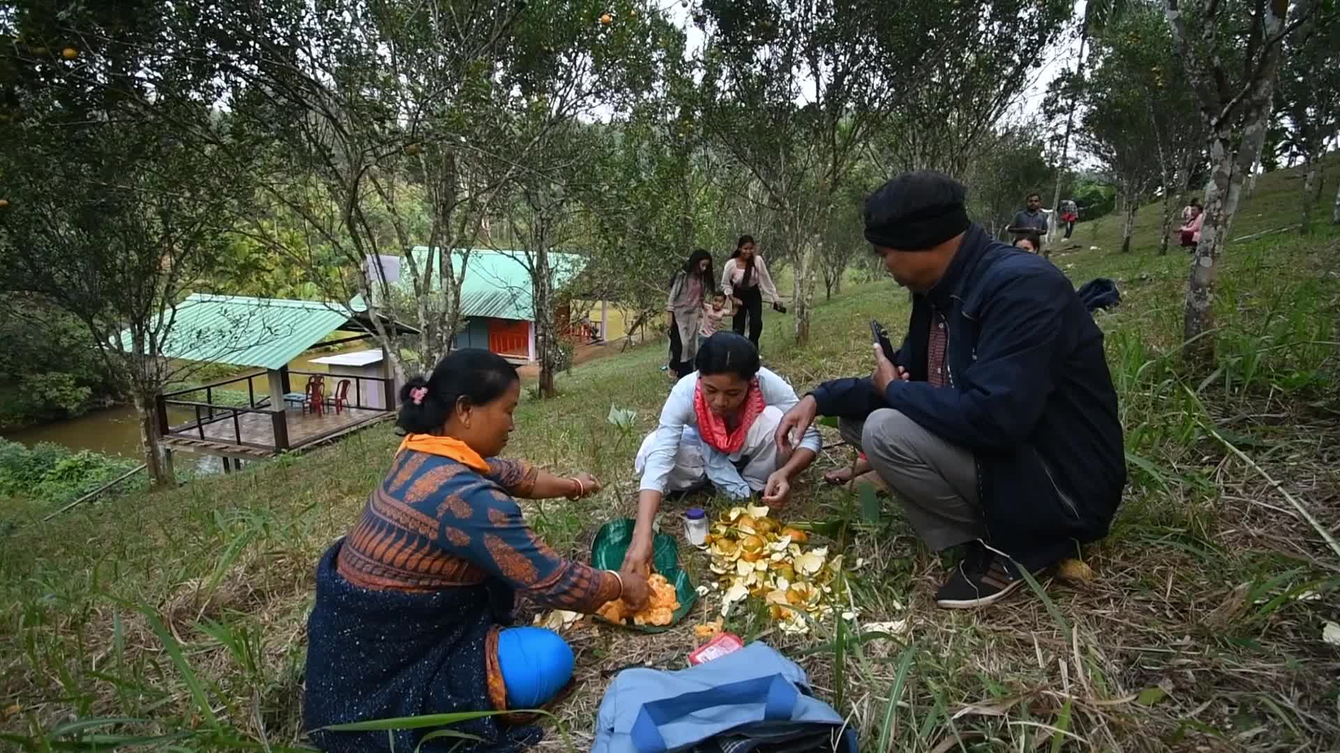 Ampri Valley Orange Festival in India 