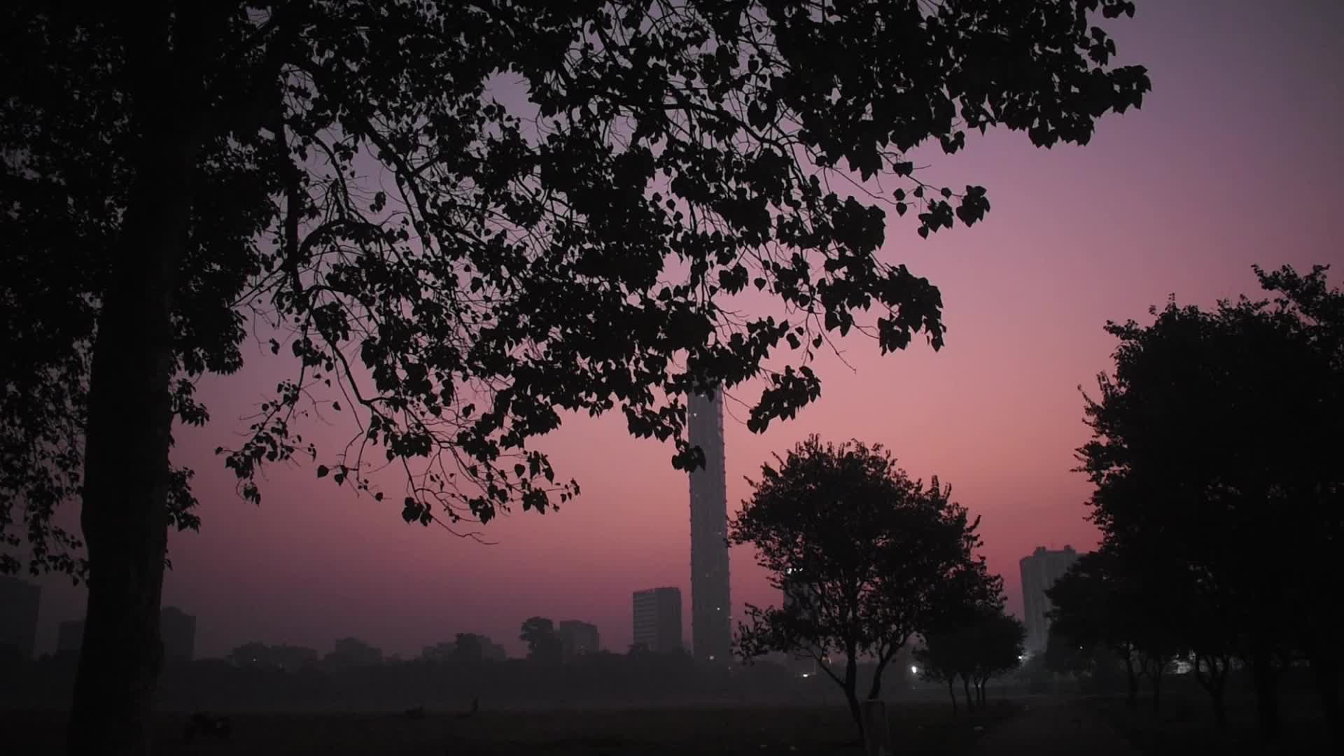 Winter In India, Kolkata