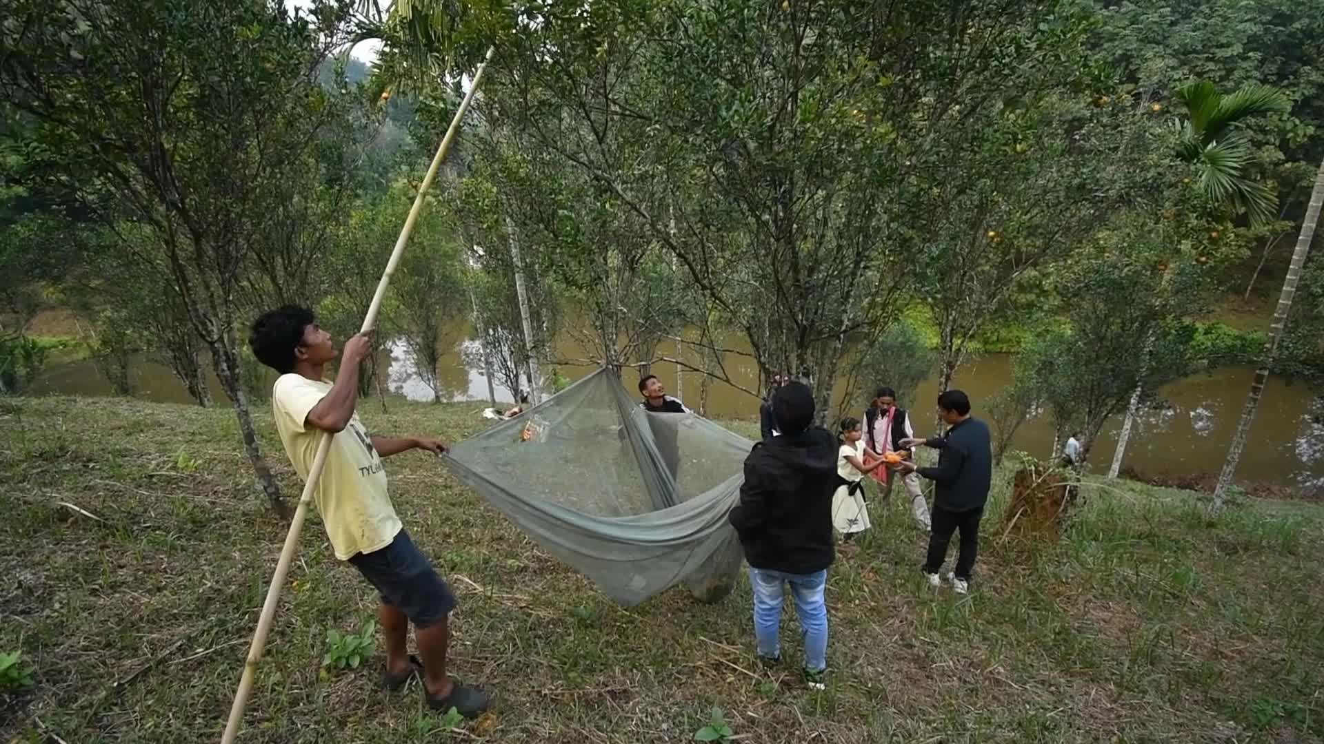 Ampri Valley Orange Festival in India 