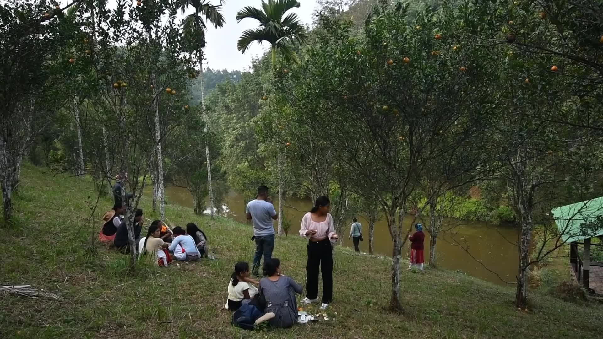 Ampri Valley Orange Festival in India 