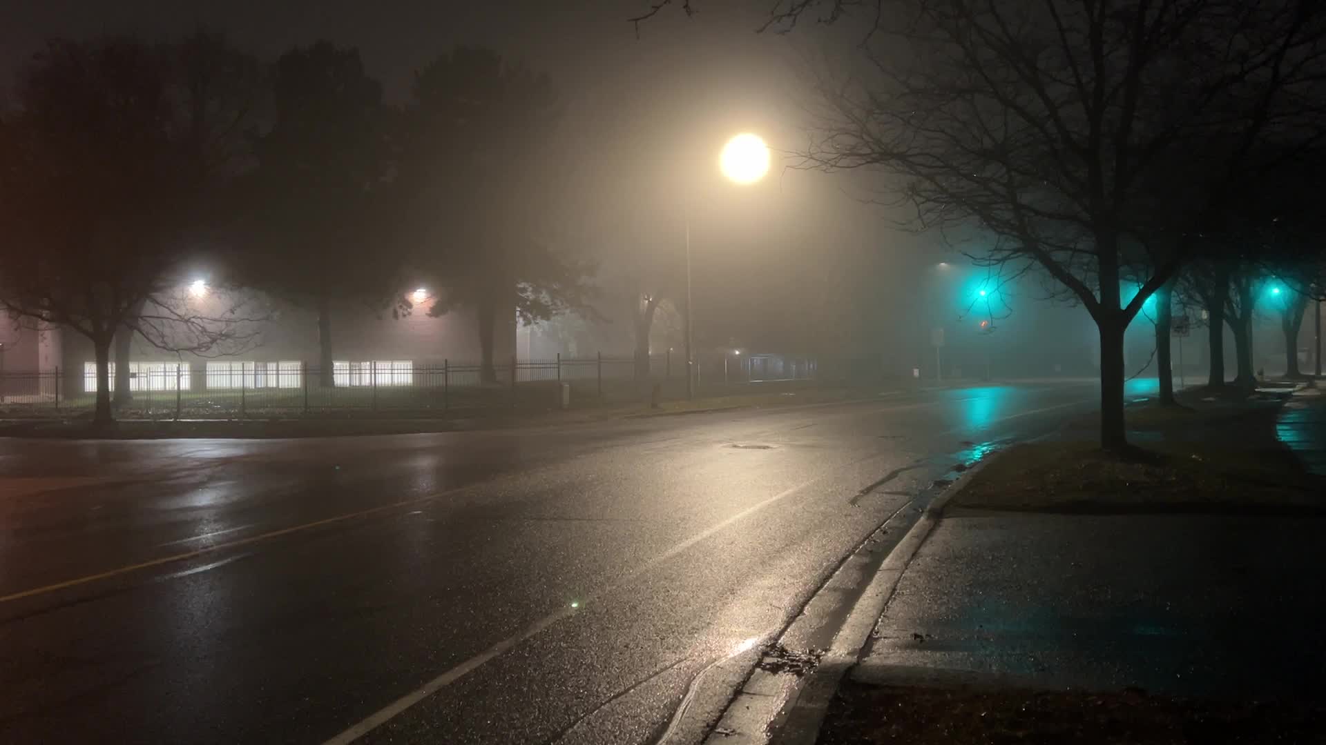 Fog causing near-zero visibility blankets Toronto, Canada