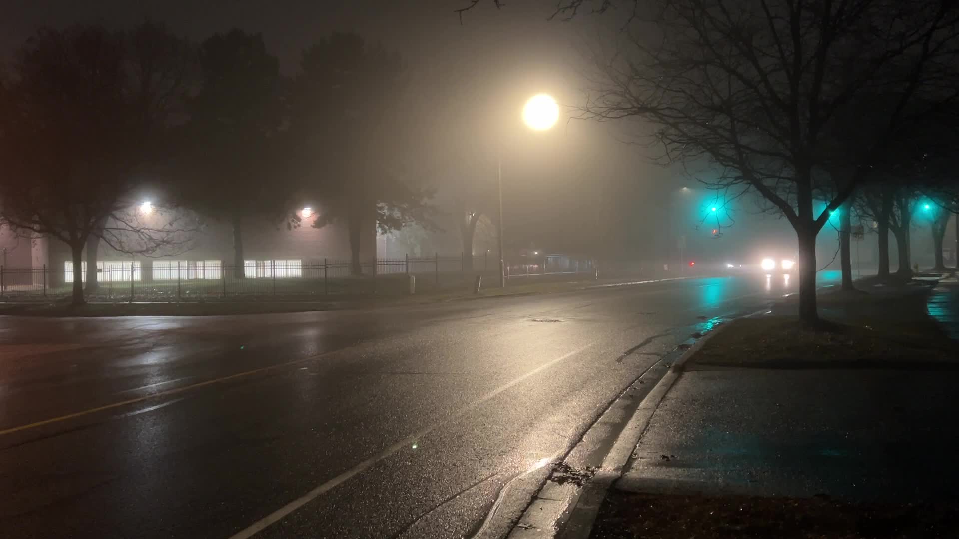 Fog causing near-zero visibility blankets Toronto, Canada