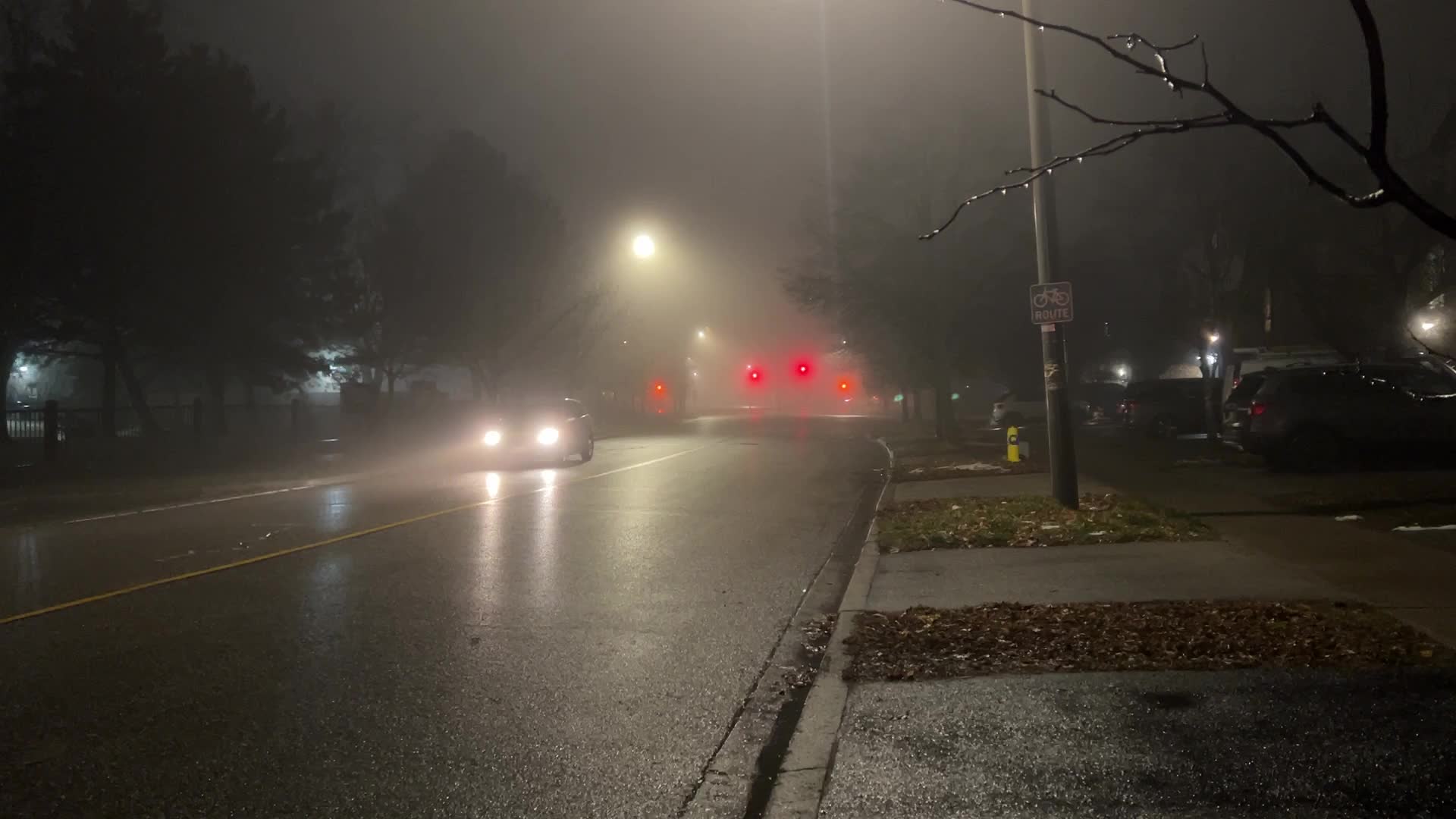 Fog causing near-zero visibility blankets Toronto, Canada