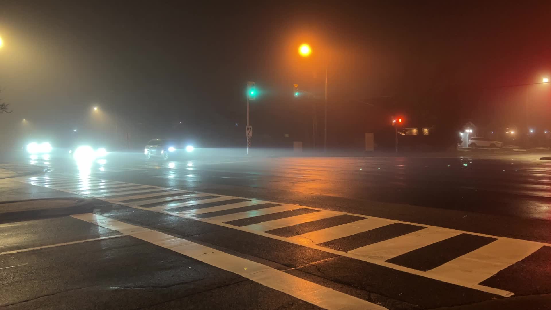 Fog causing near-zero visibility blankets Toronto, Canada