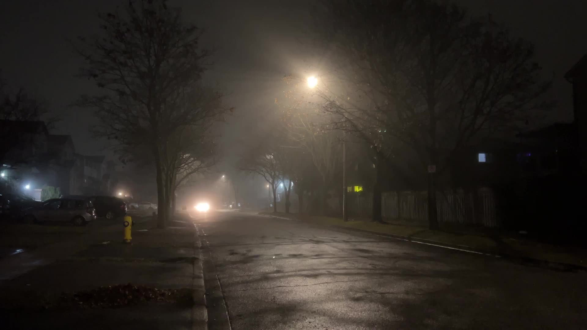 Fog causing near-zero visibility blankets Toronto, Canada