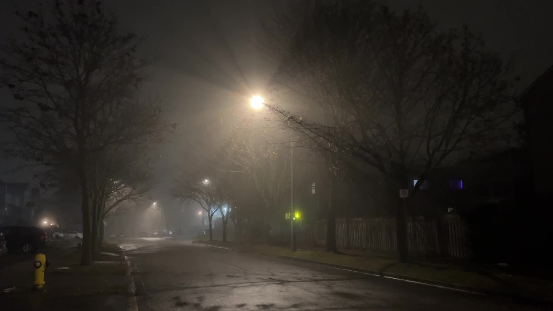 Fog causing near-zero visibility blankets Toronto, Canada