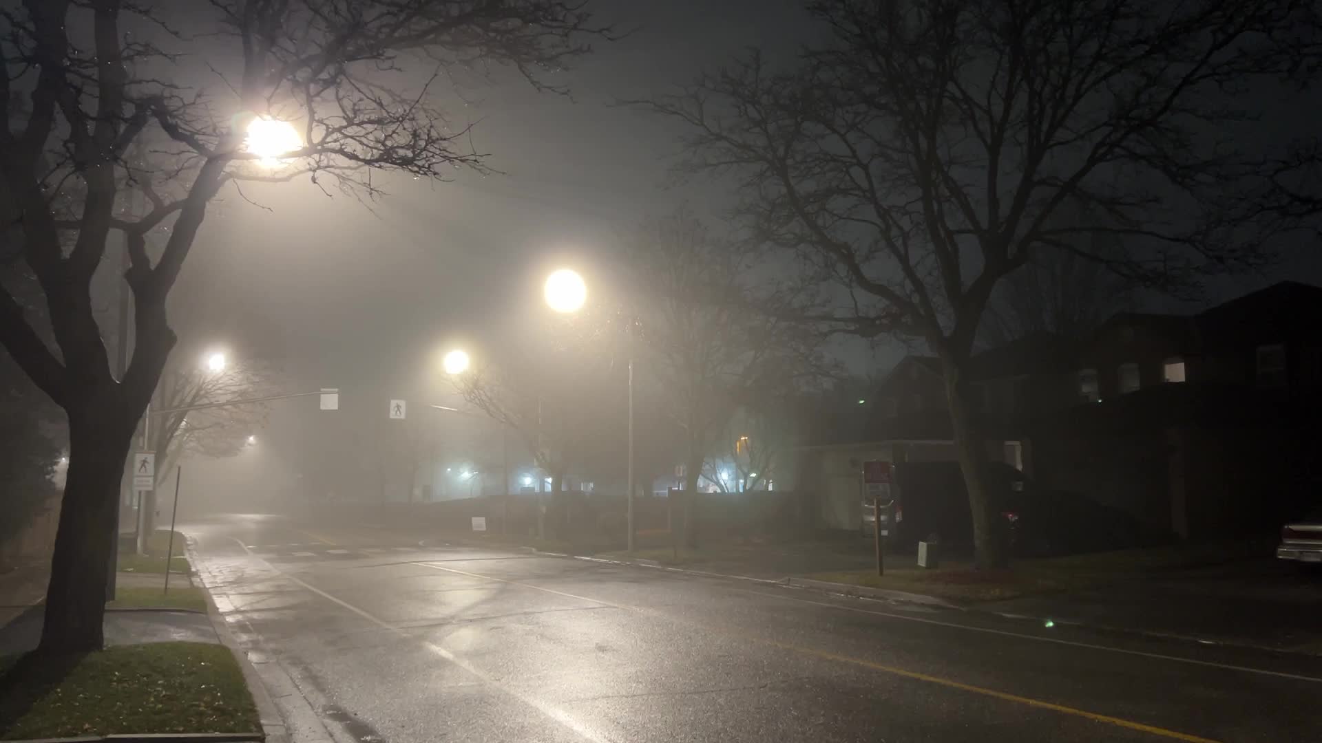 Fog causing near-zero visibility blankets Toronto, Canada