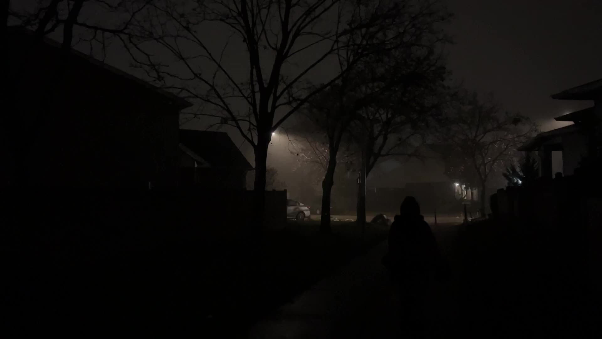Fog causing near-zero visibility blankets Toronto, Canada