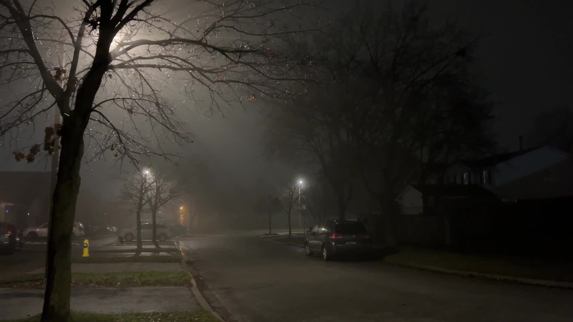Fog causing near-zero visibility blankets Toronto, Canada