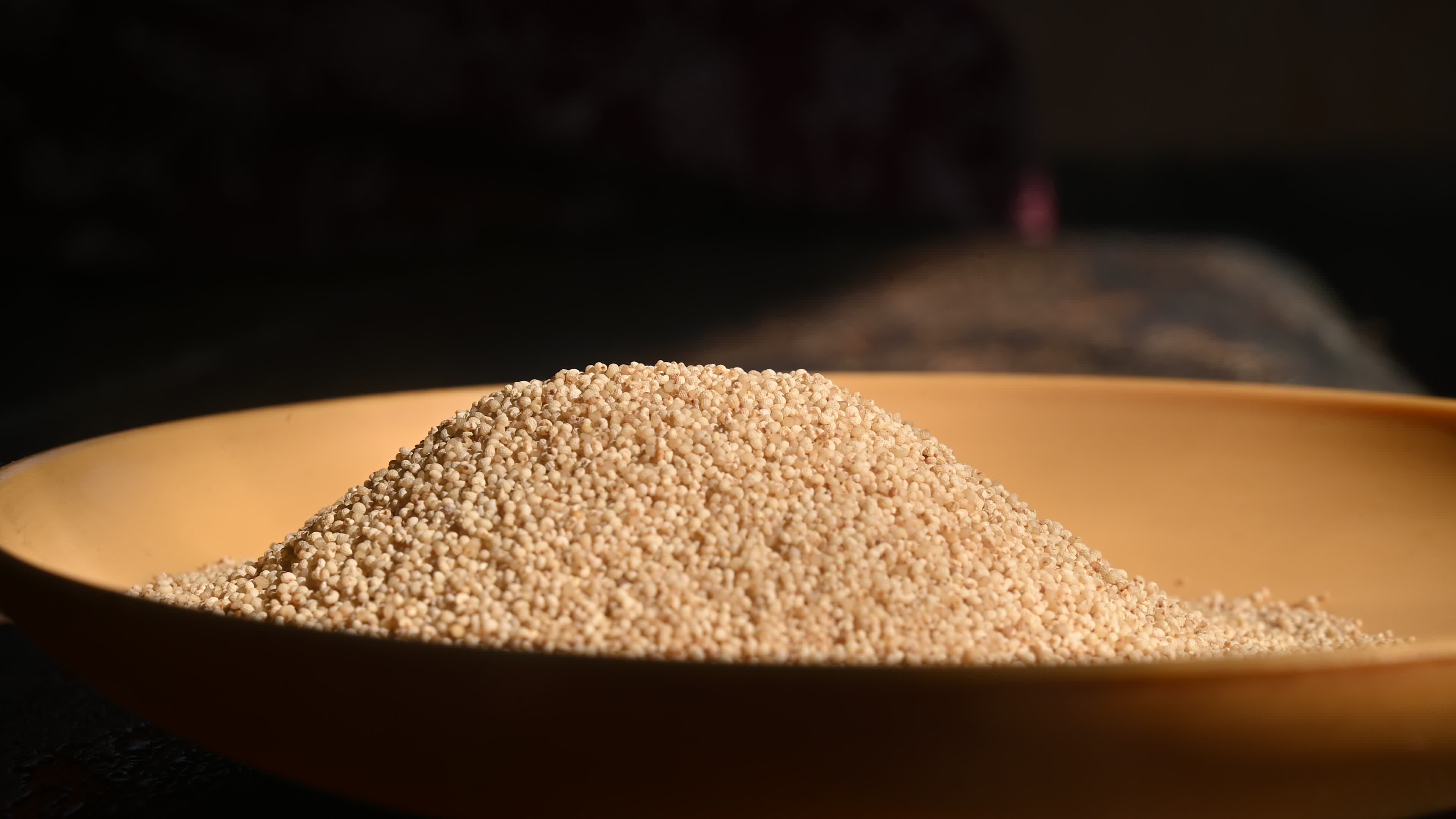 Poppy Seeds - Opium Poppy - Papaver somniferum - Food - Cultivation
