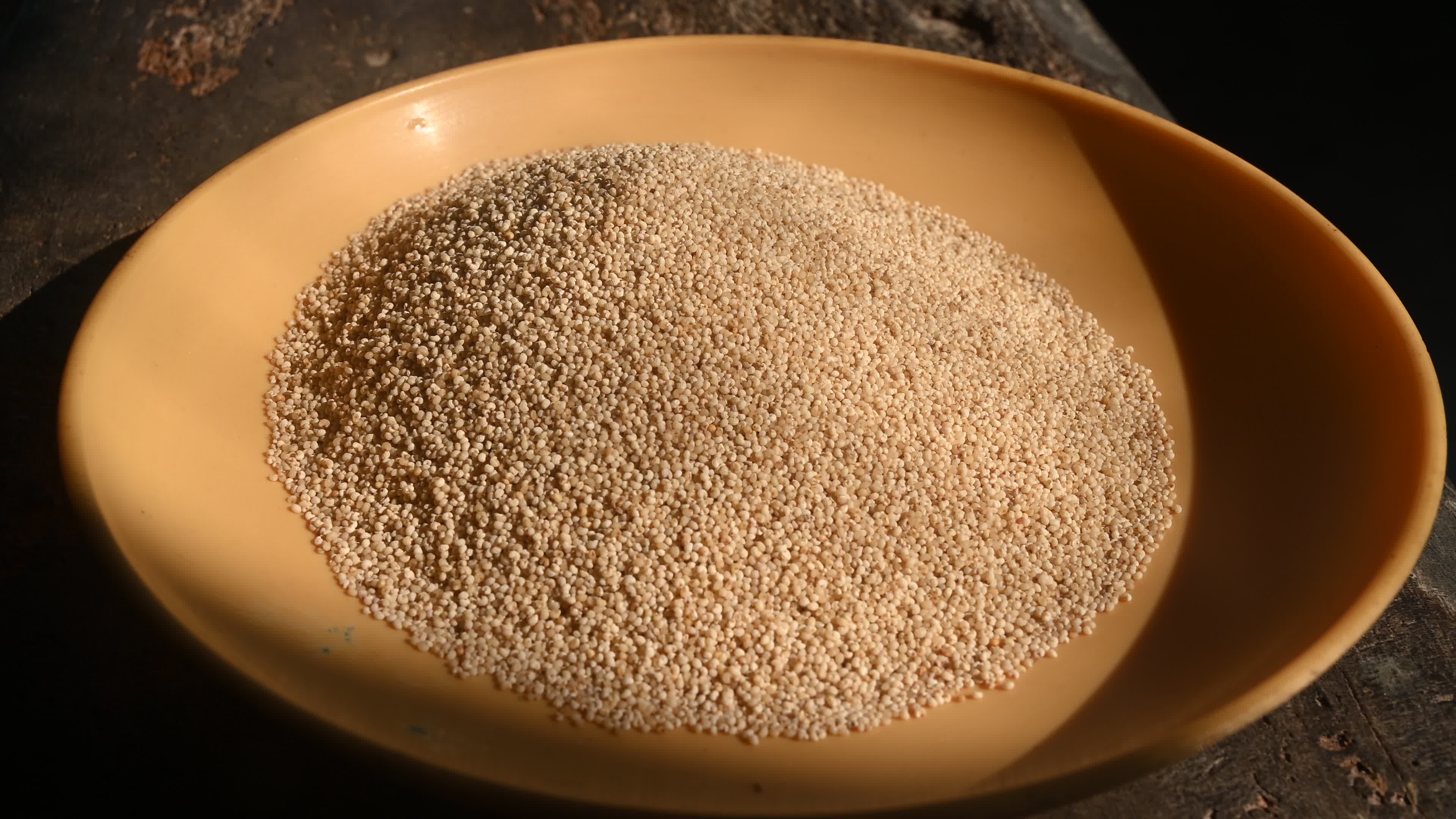 Poppy Seeds - Opium Poppy - Papaver somniferum - Food - Cultivation
