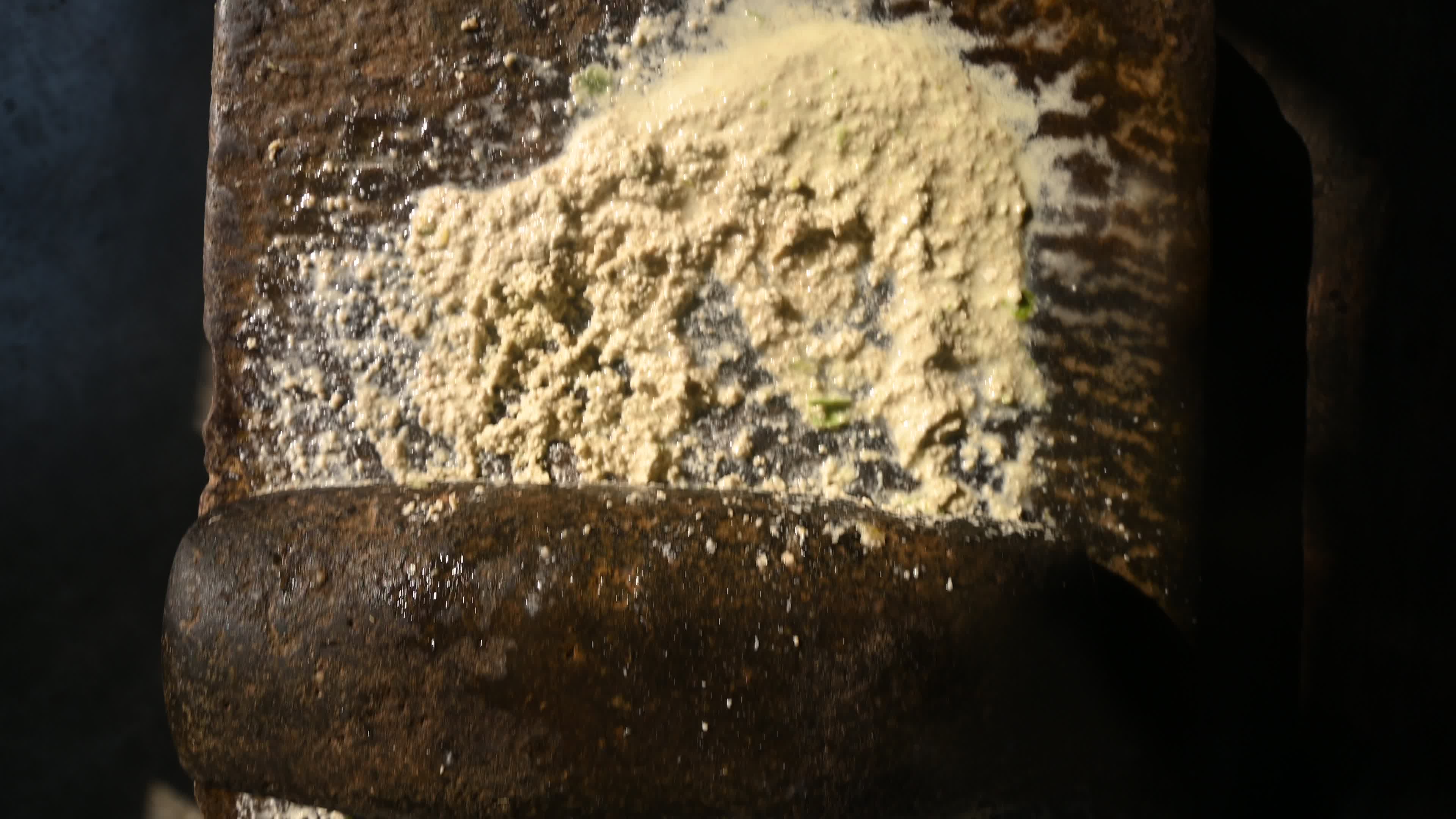 Poppy Seeds - Opium Poppy - Papaver somniferum - Food - Cultivation
