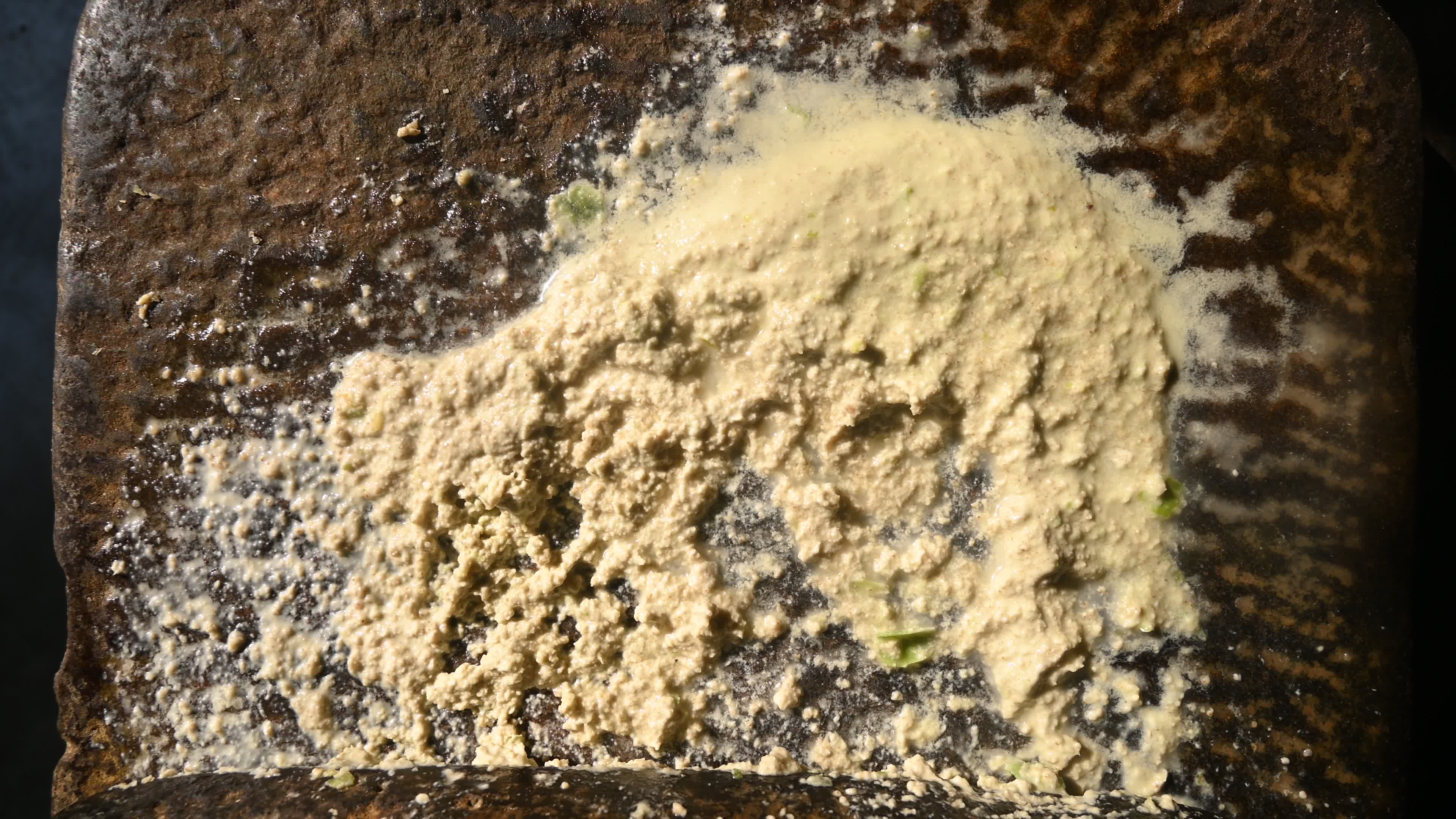 Poppy Seeds - Opium Poppy - Papaver somniferum - Food - Cultivation
