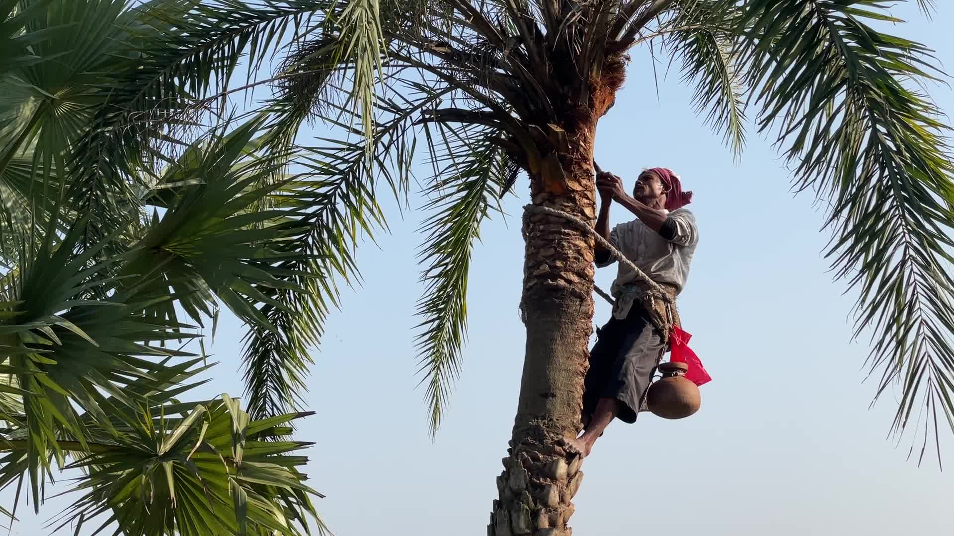 Daily life in Magura