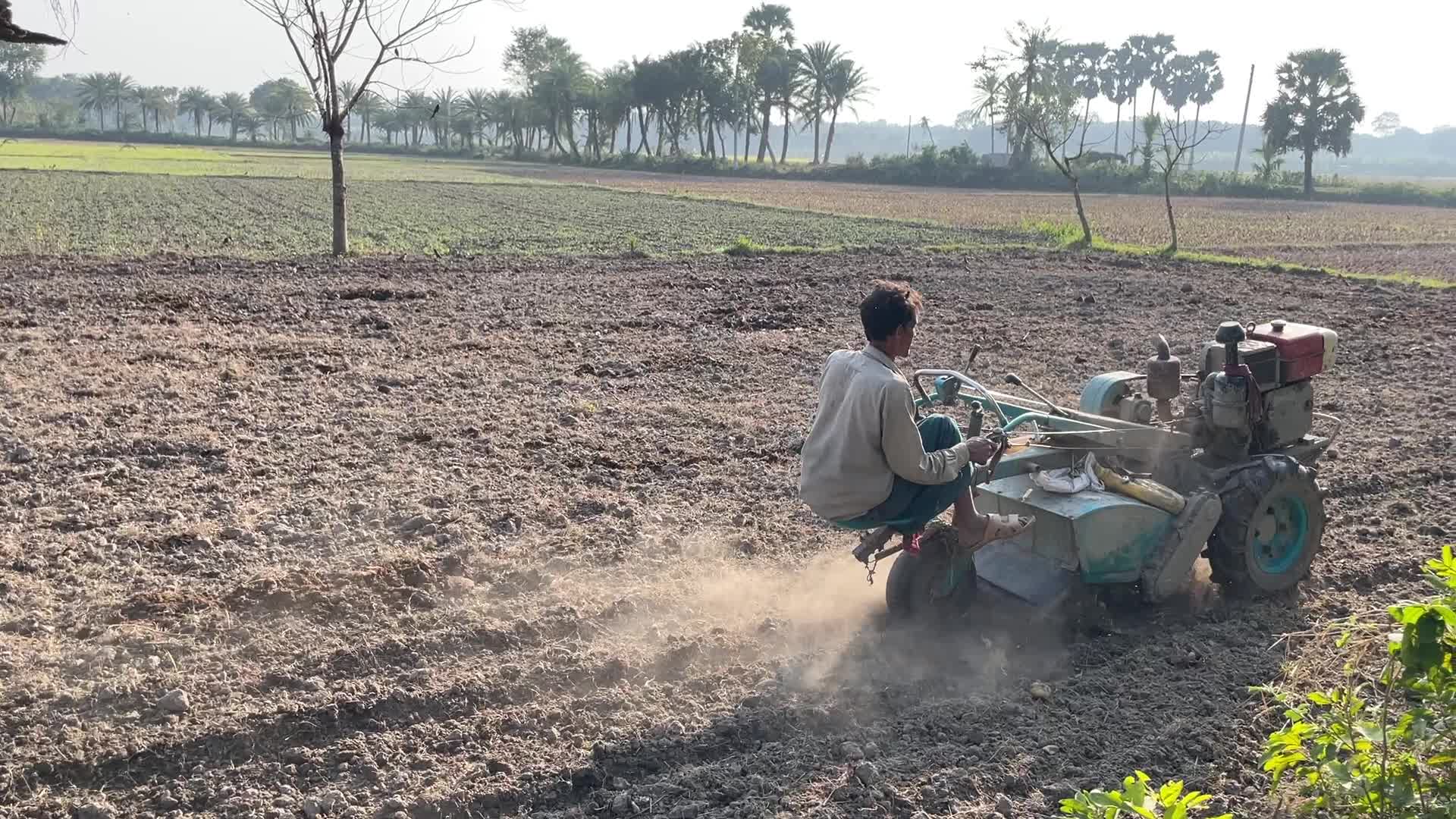 Daily life in Magura